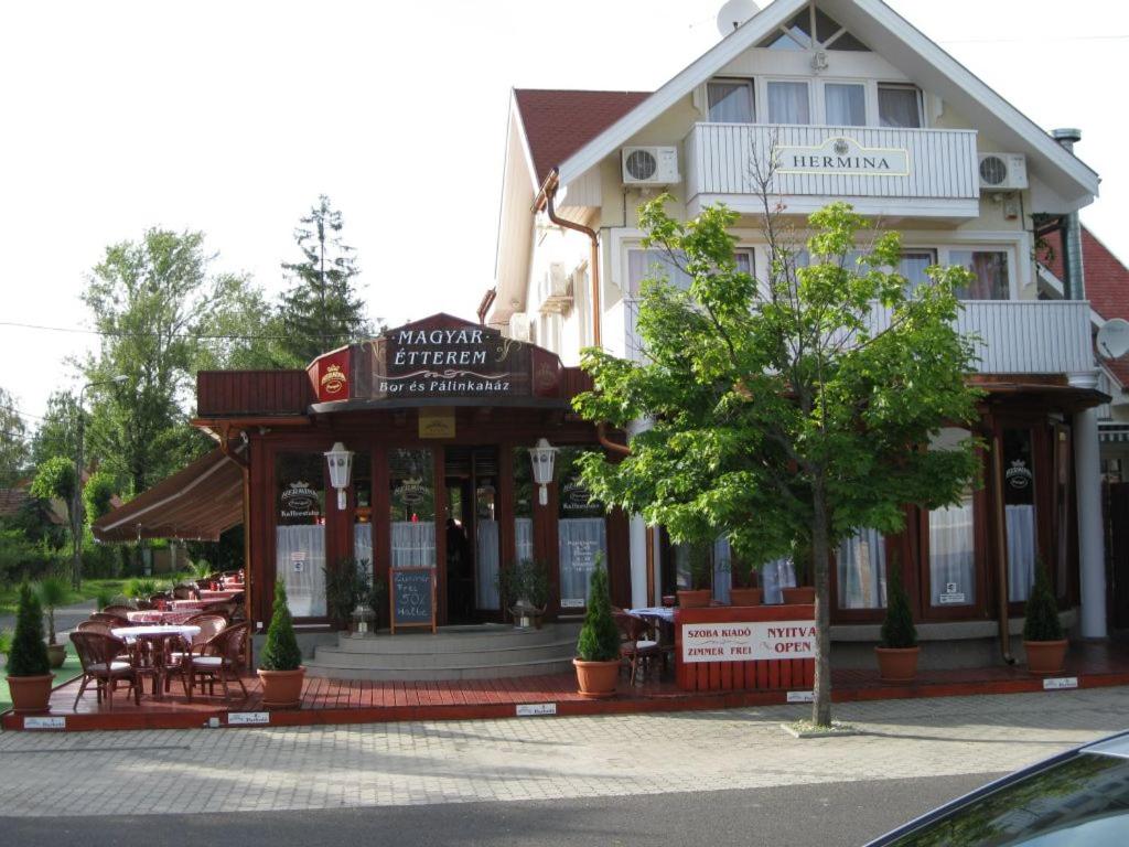 Hermina Panzió view 2