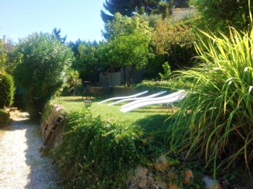 Photo 44