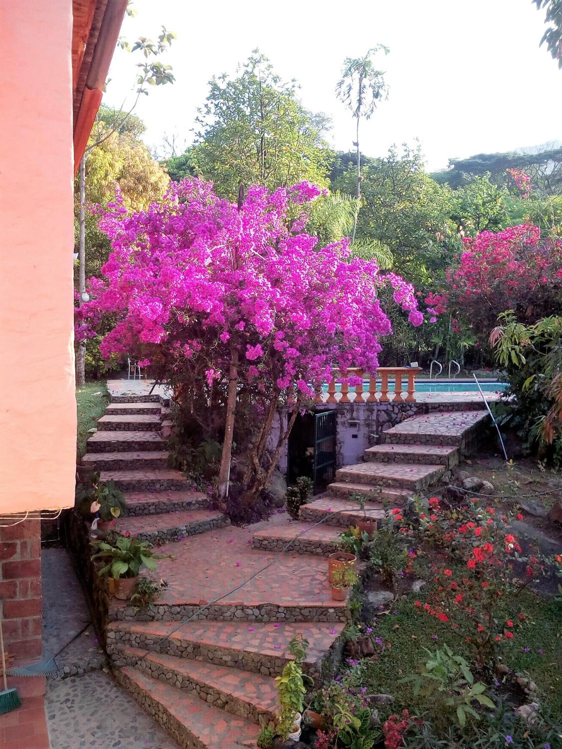 Selvablanca Hostel