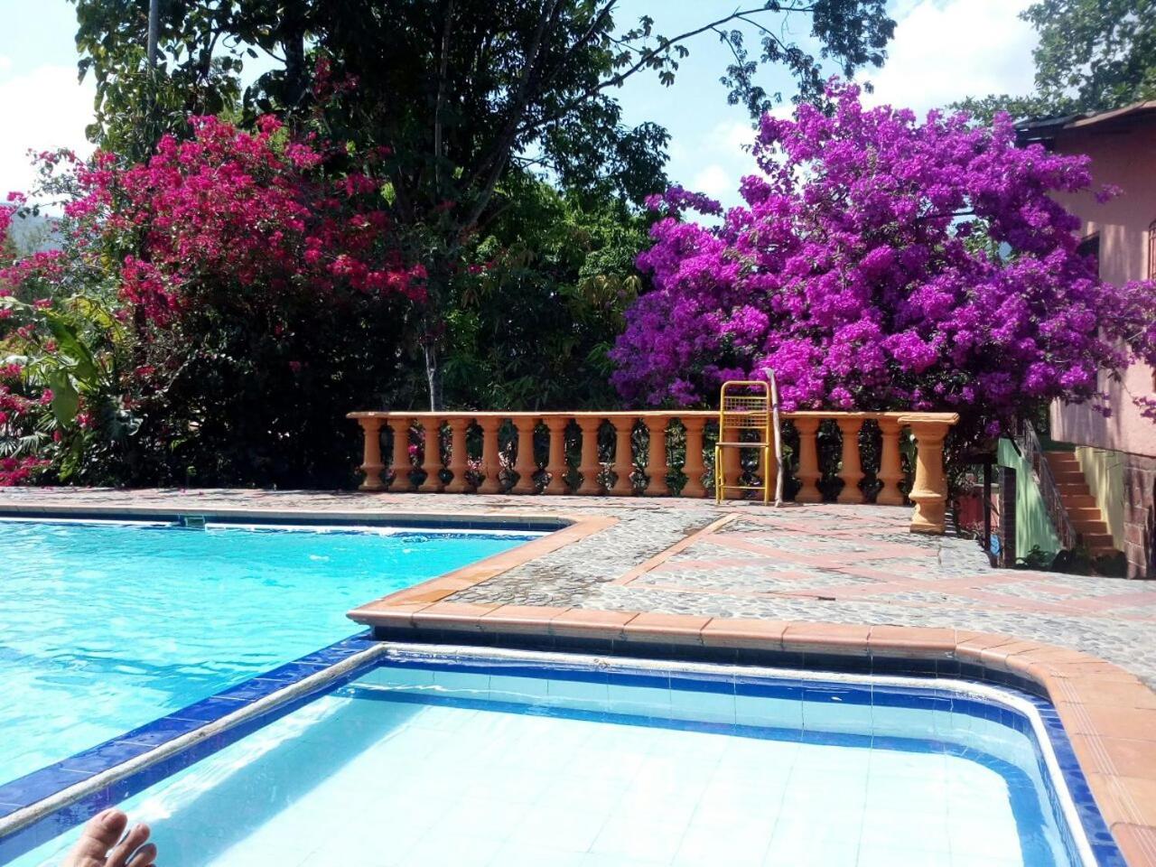 Selvablanca Hostel