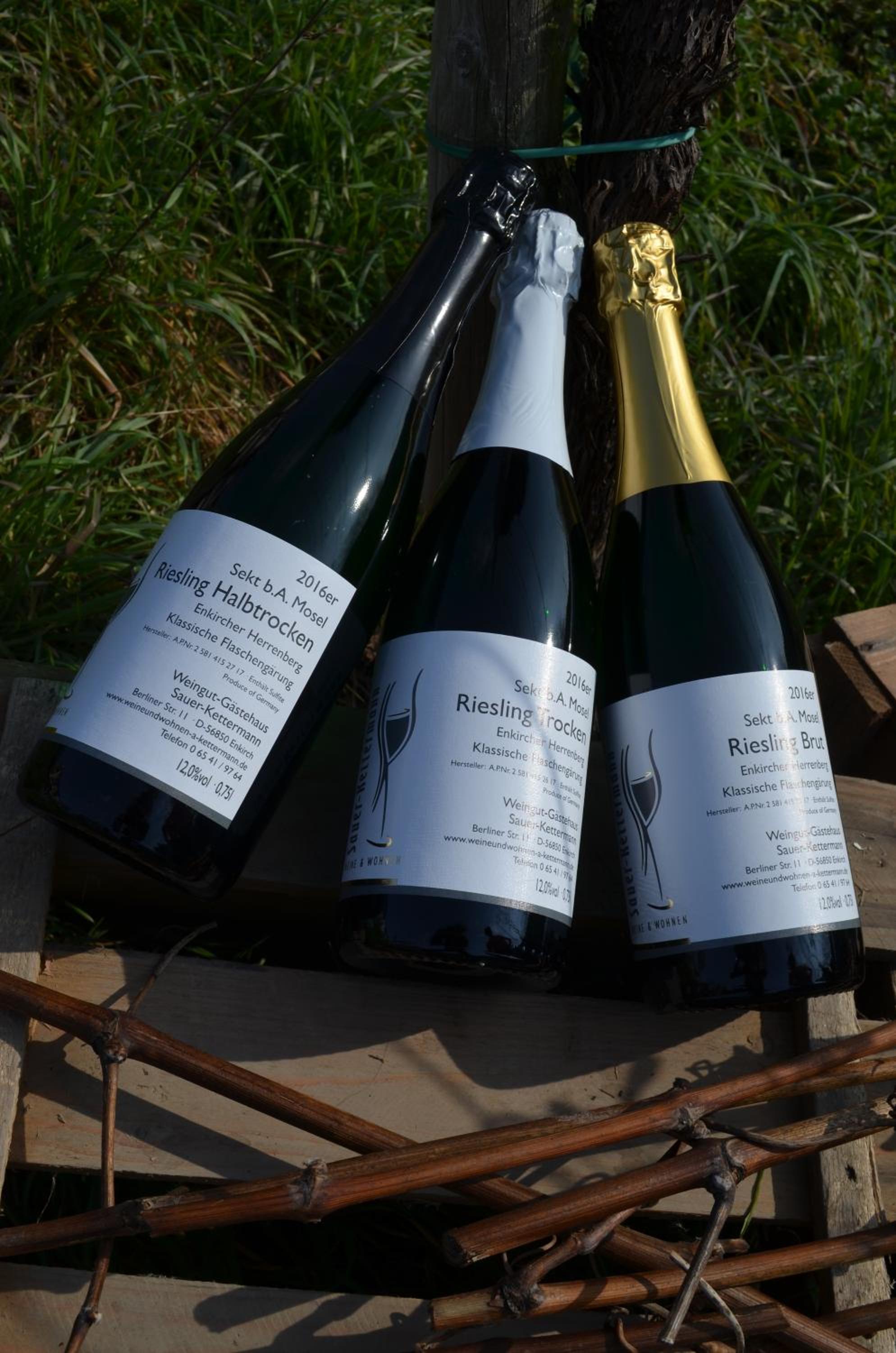 Weingut Sauer-Kettermann
