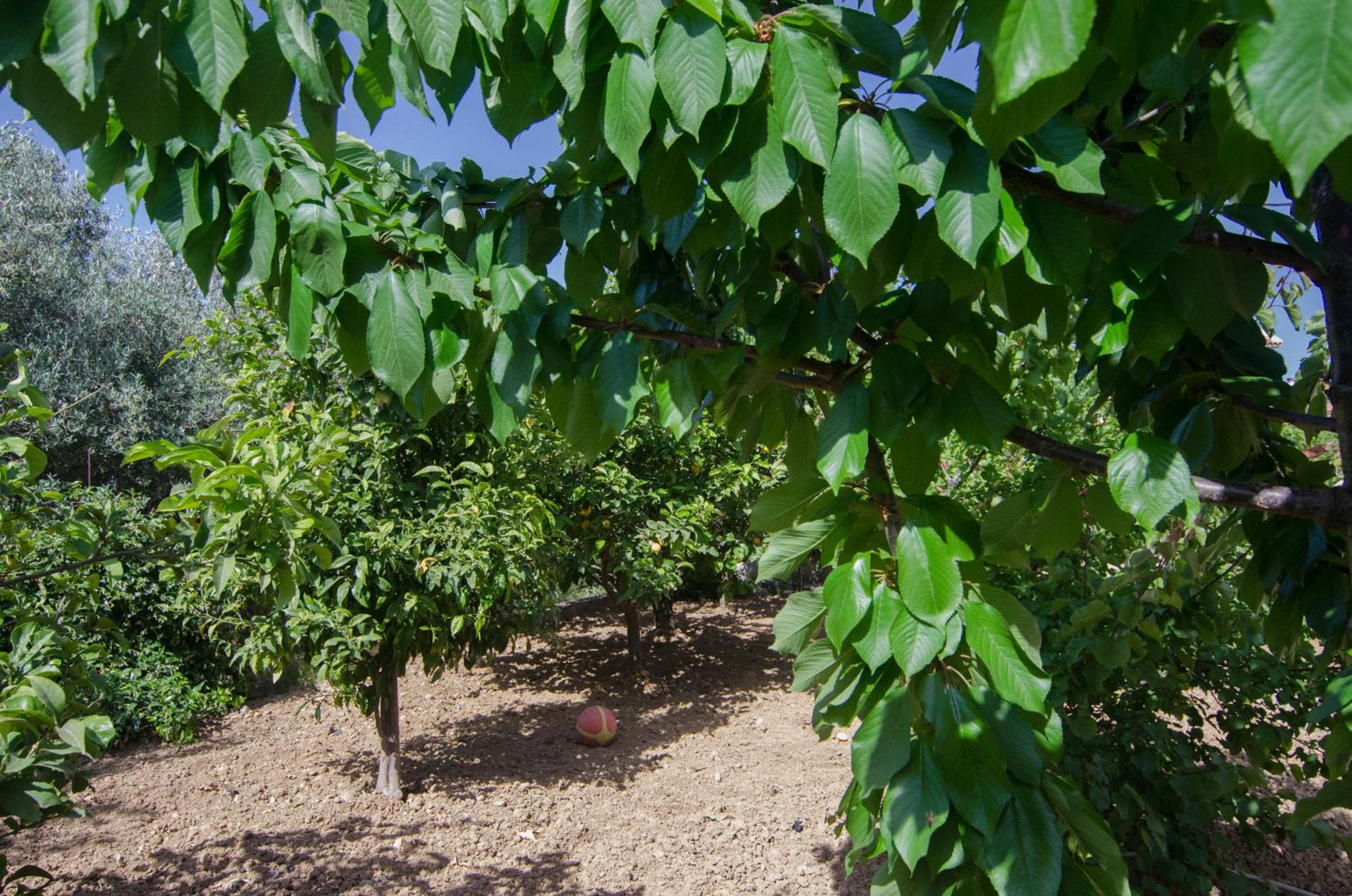 Photo 15