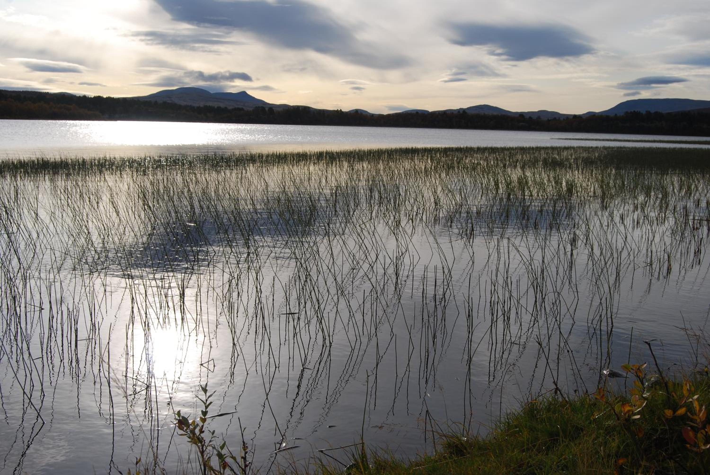Hodalen Fjellstue