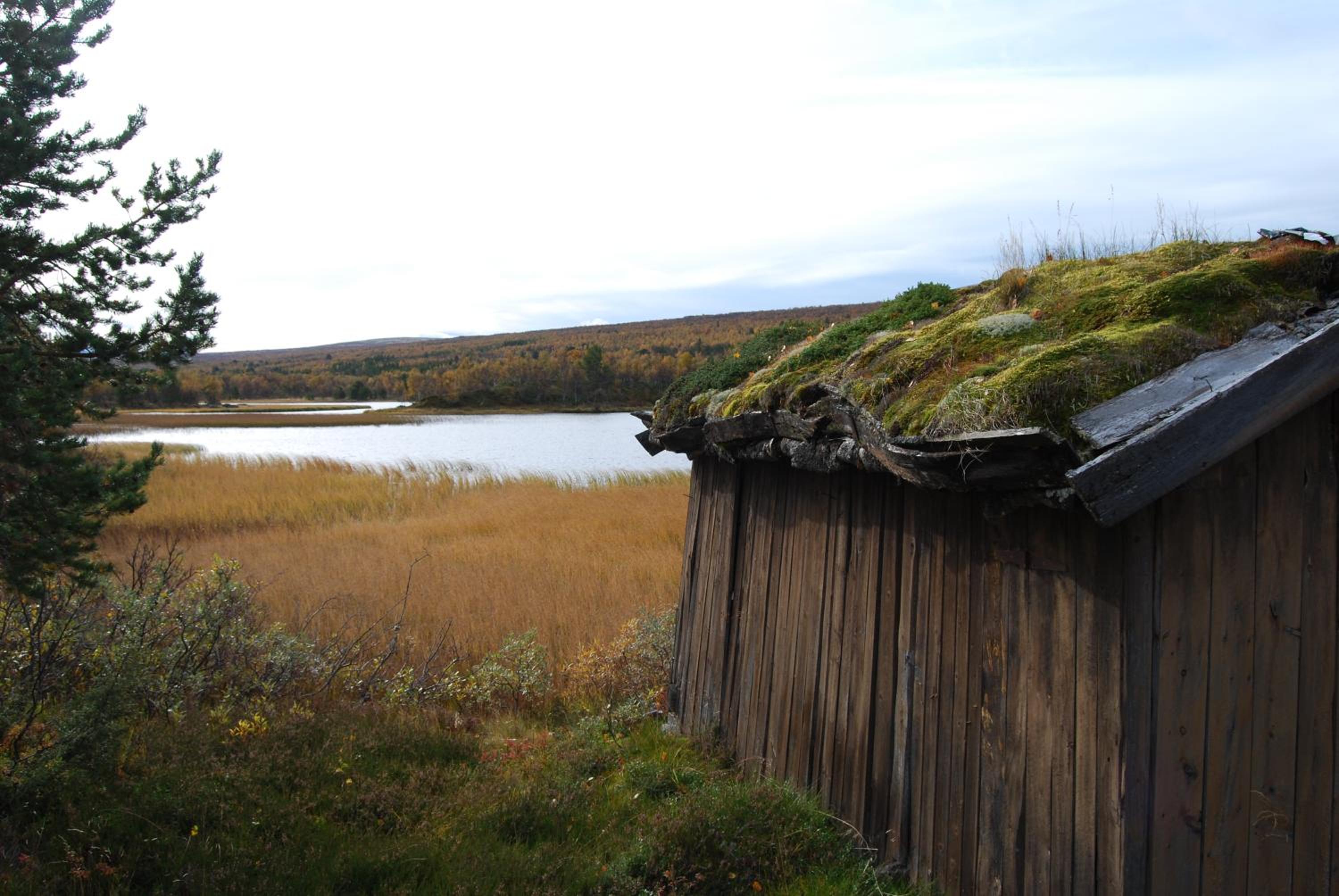 Hodalen Fjellstue