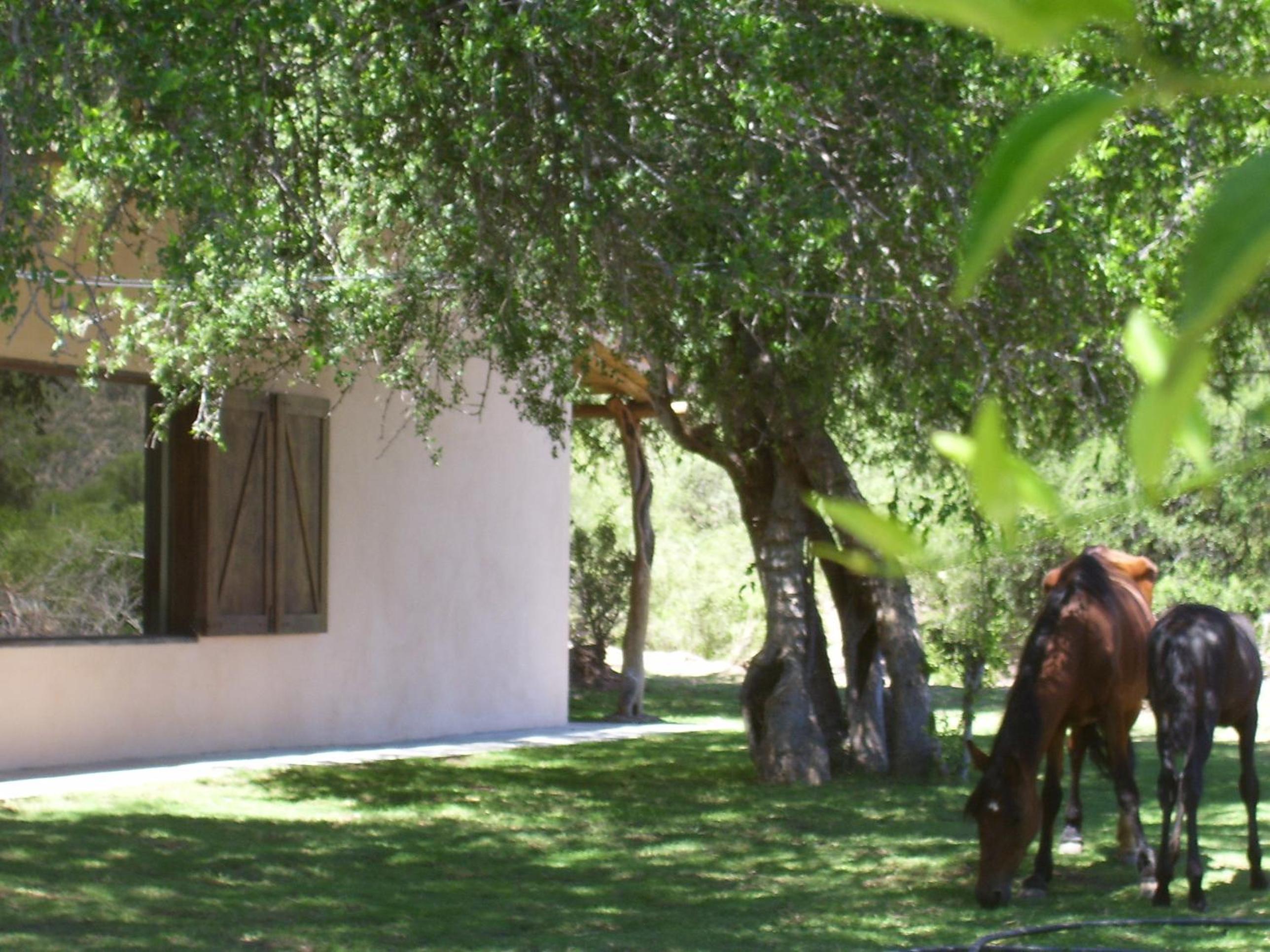 Finca Puesta del sol