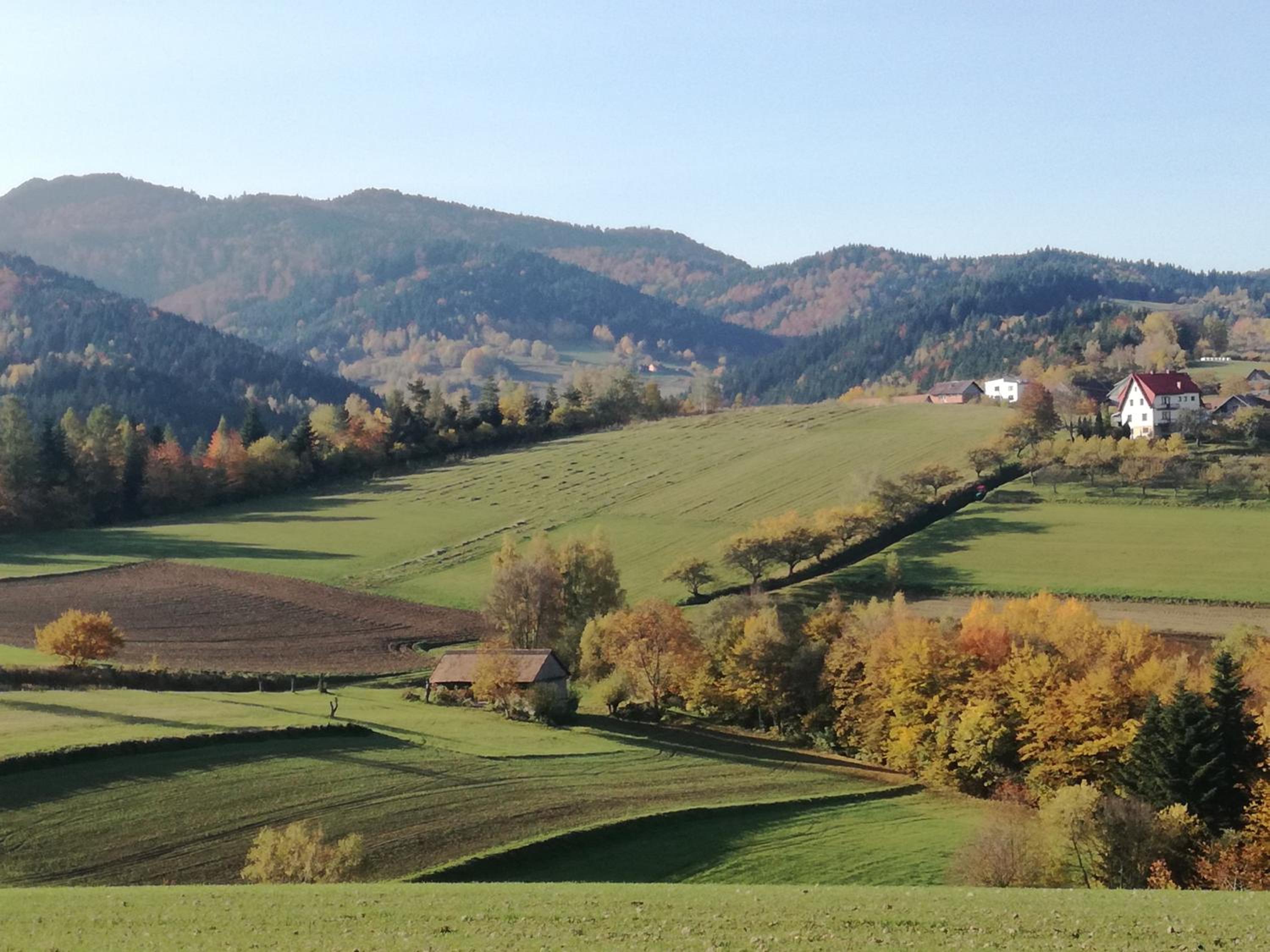 Agroturystyka "RYVILLA" view 2