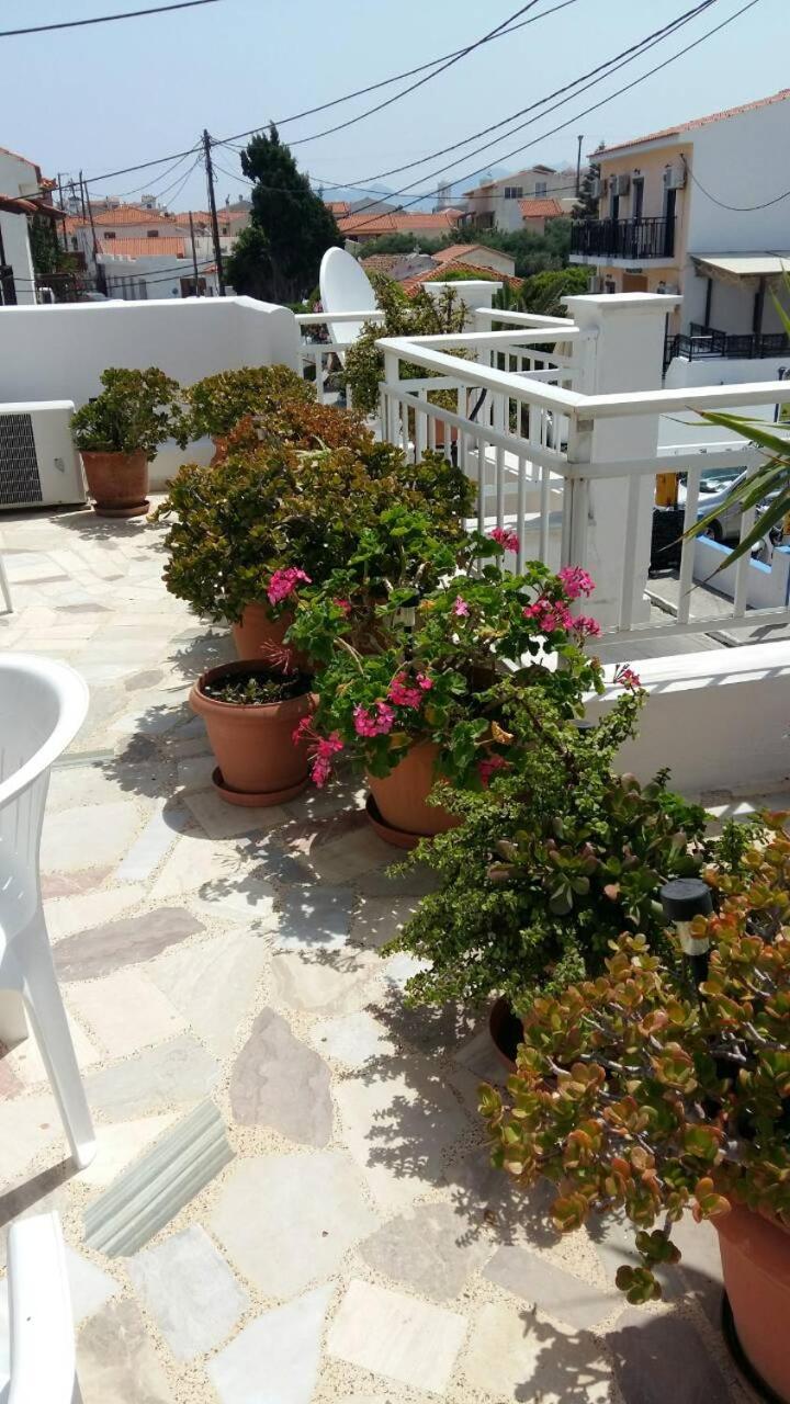 Photo 8