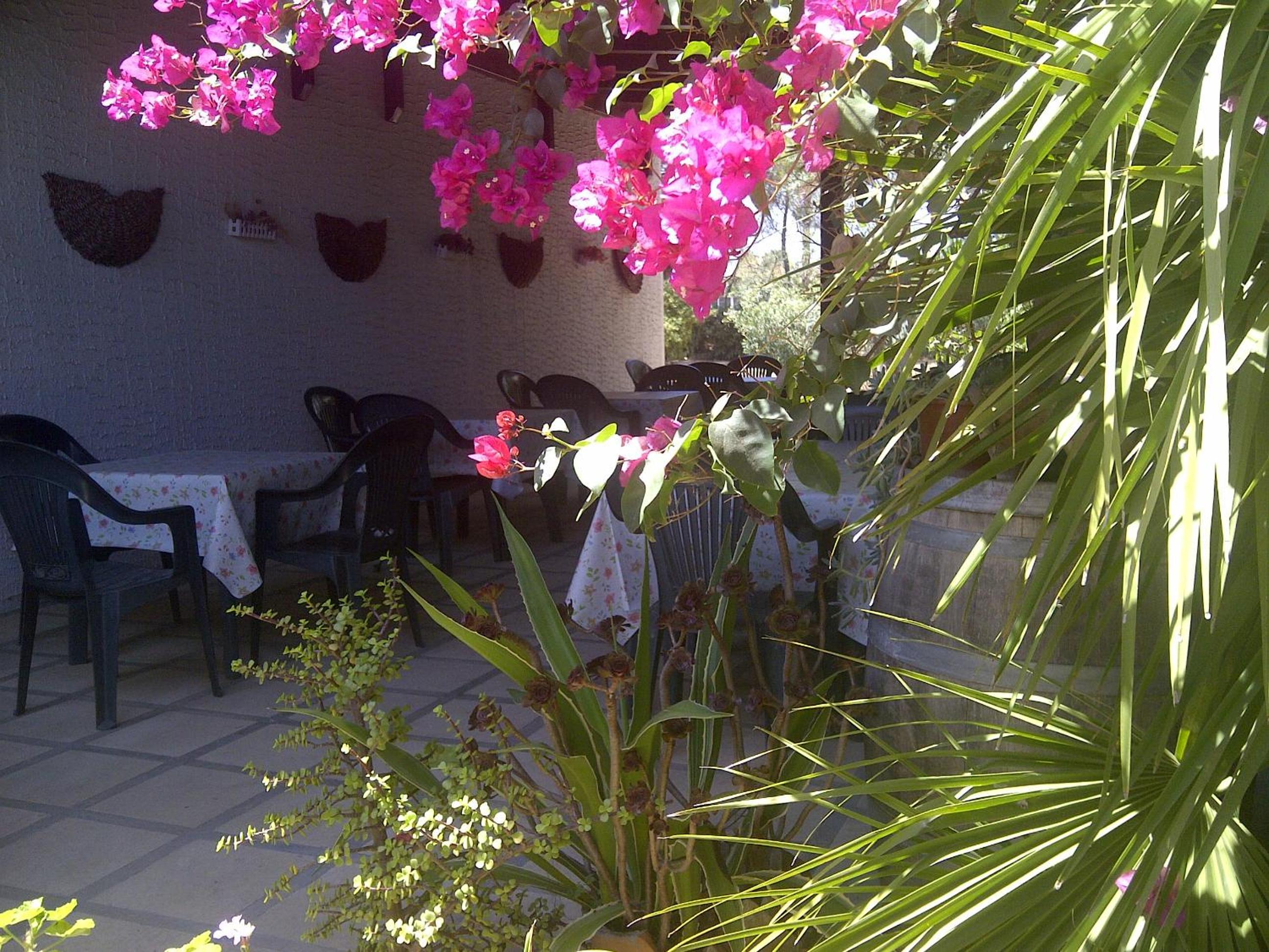 Agriturismo Palese