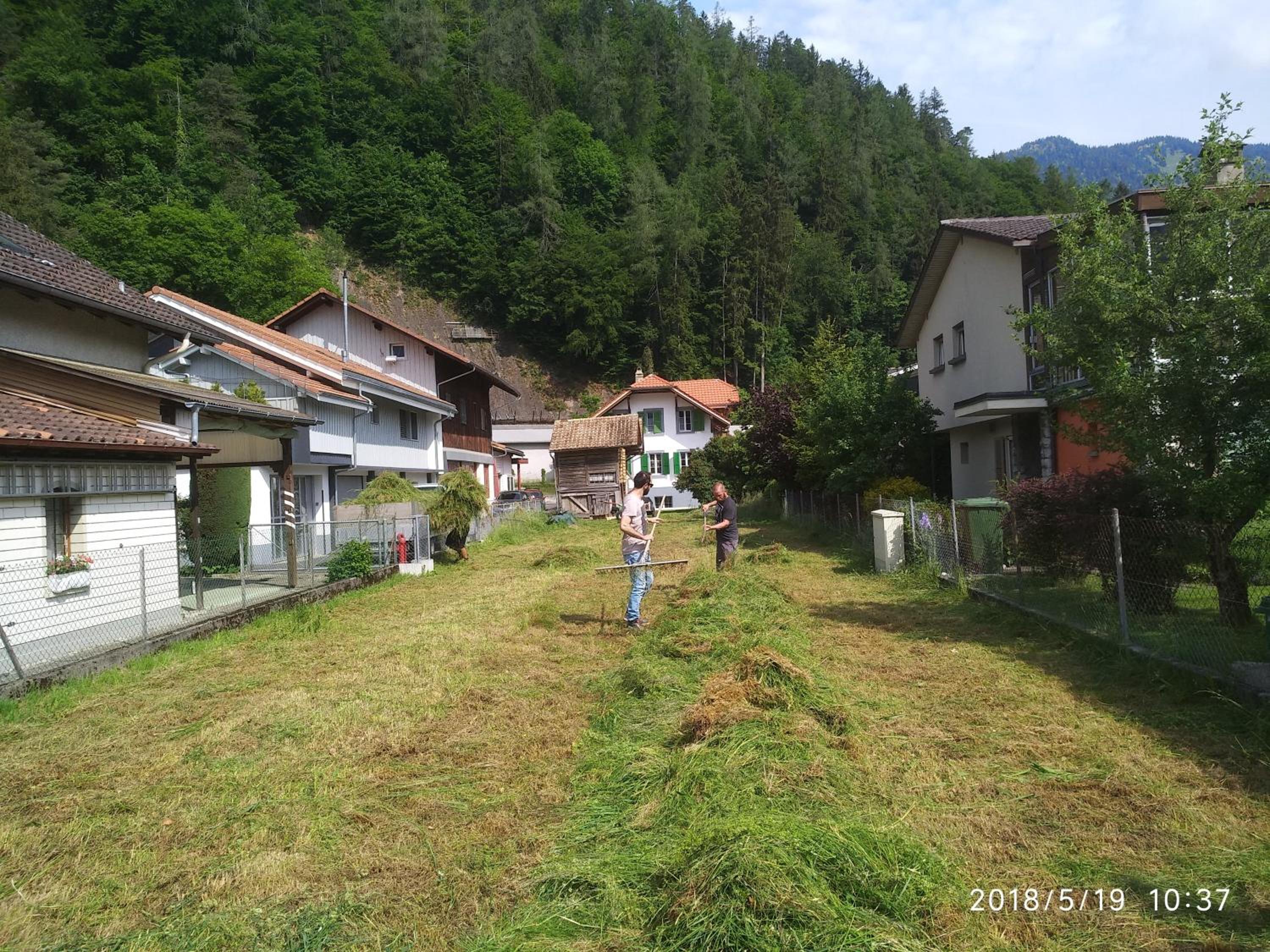 Jungfrau Family Holiday Home