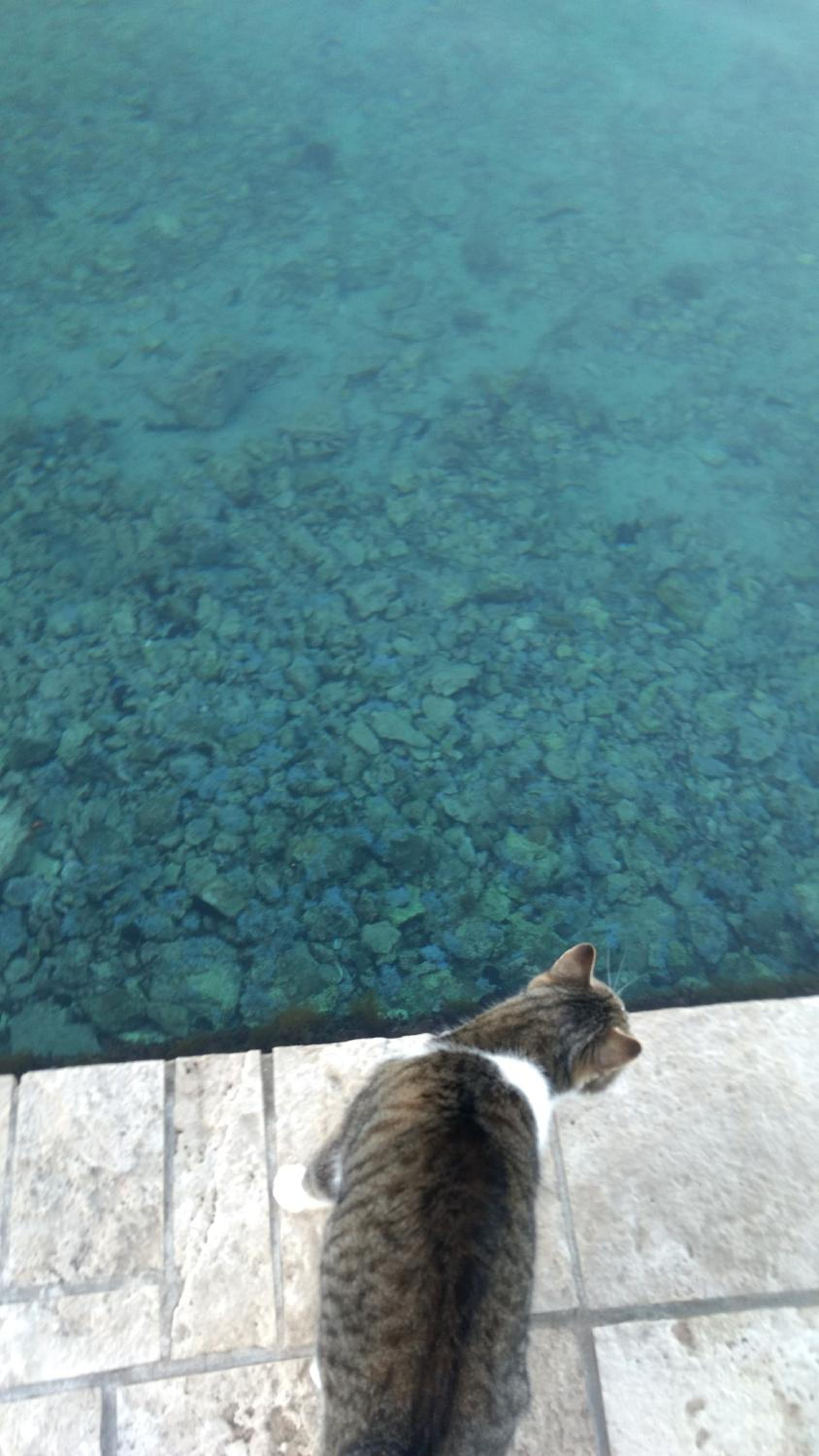 Villa Katić view 3