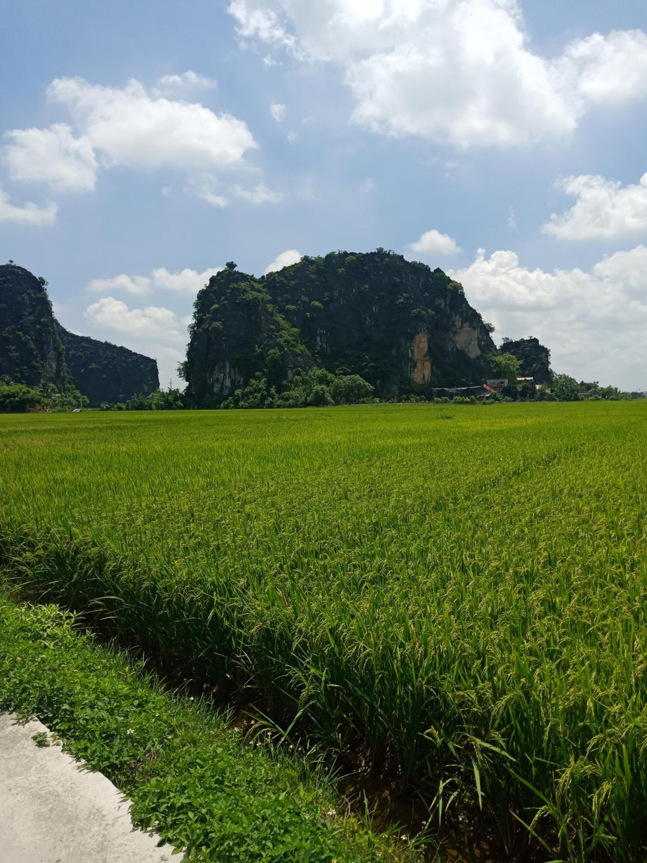 Tam Coc Valley Bungalow