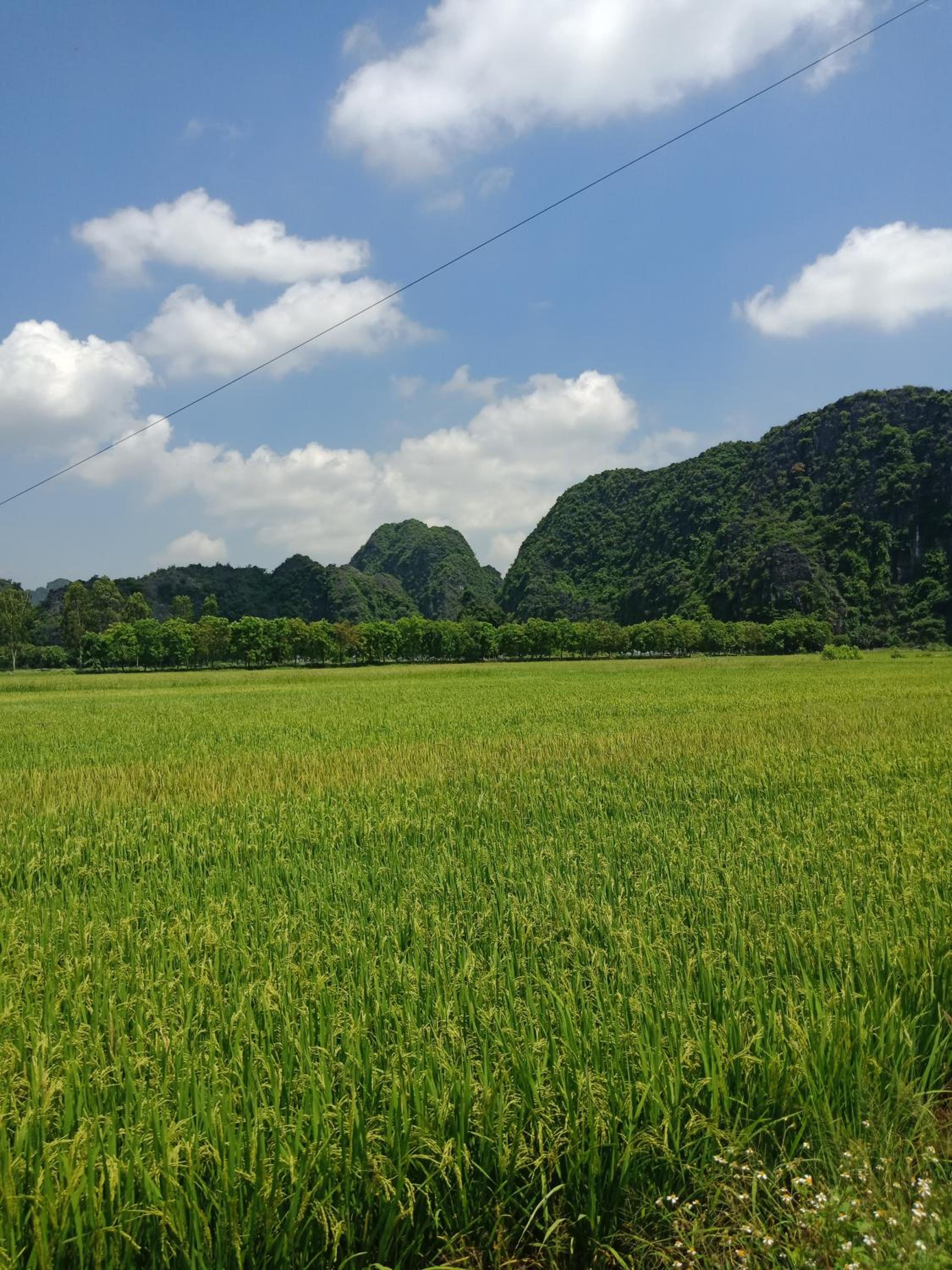 Tam Coc Valley Bungalow