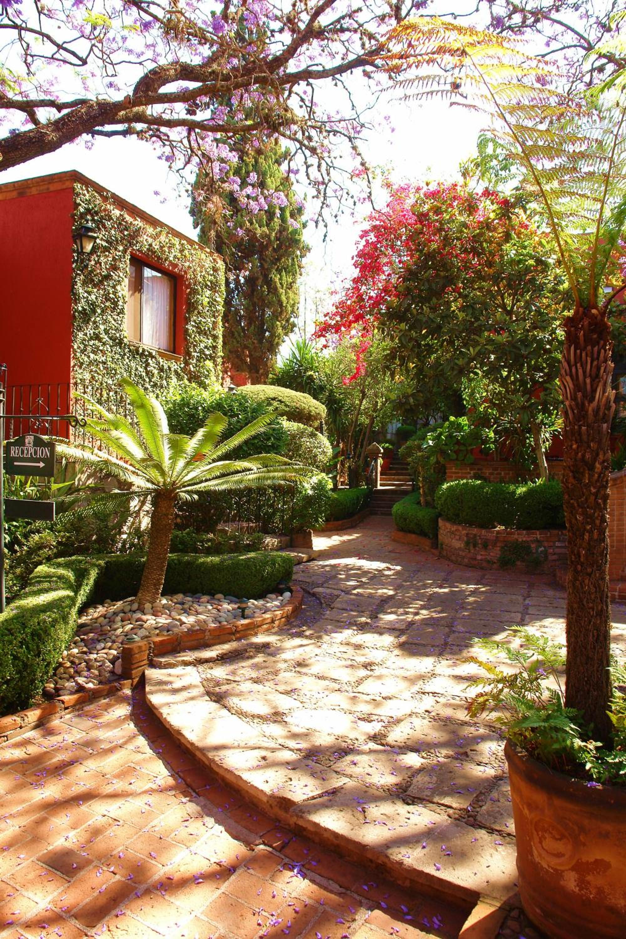 Villa Montana Hotel Spa - Property Image 74