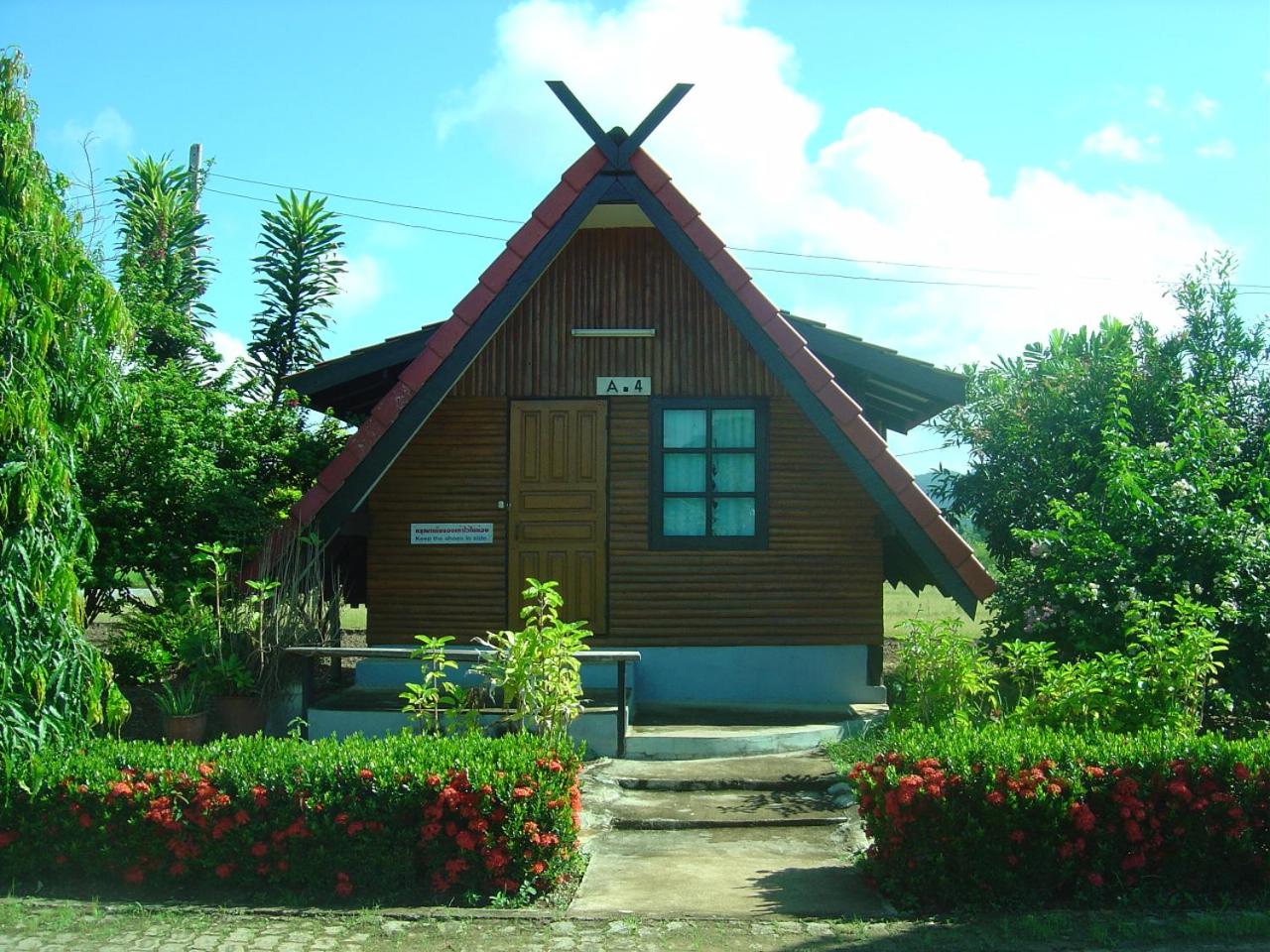 Photo 17