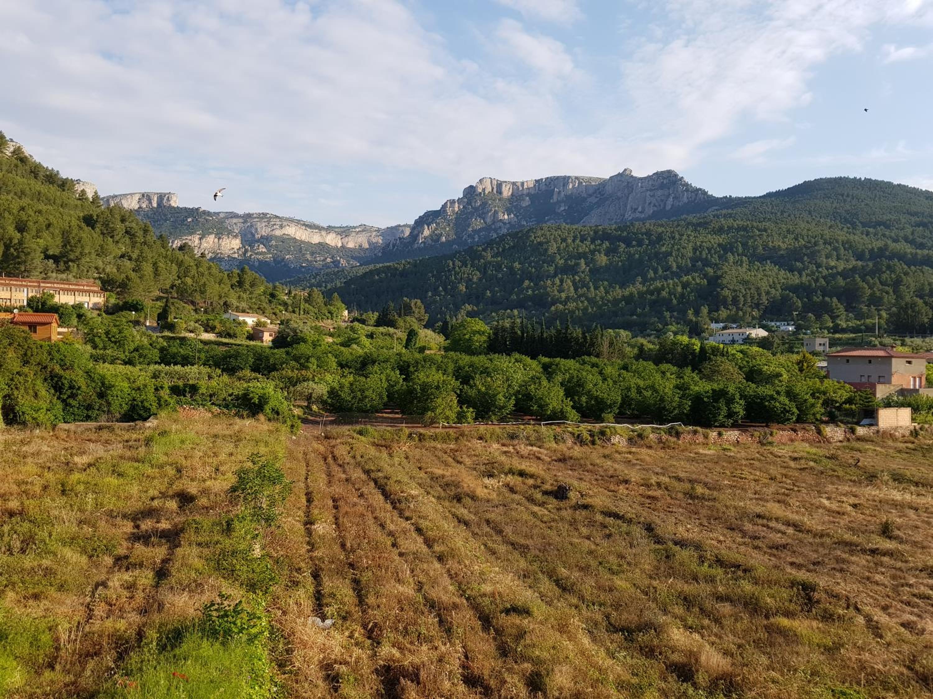 Can Jaume Porxo view 2