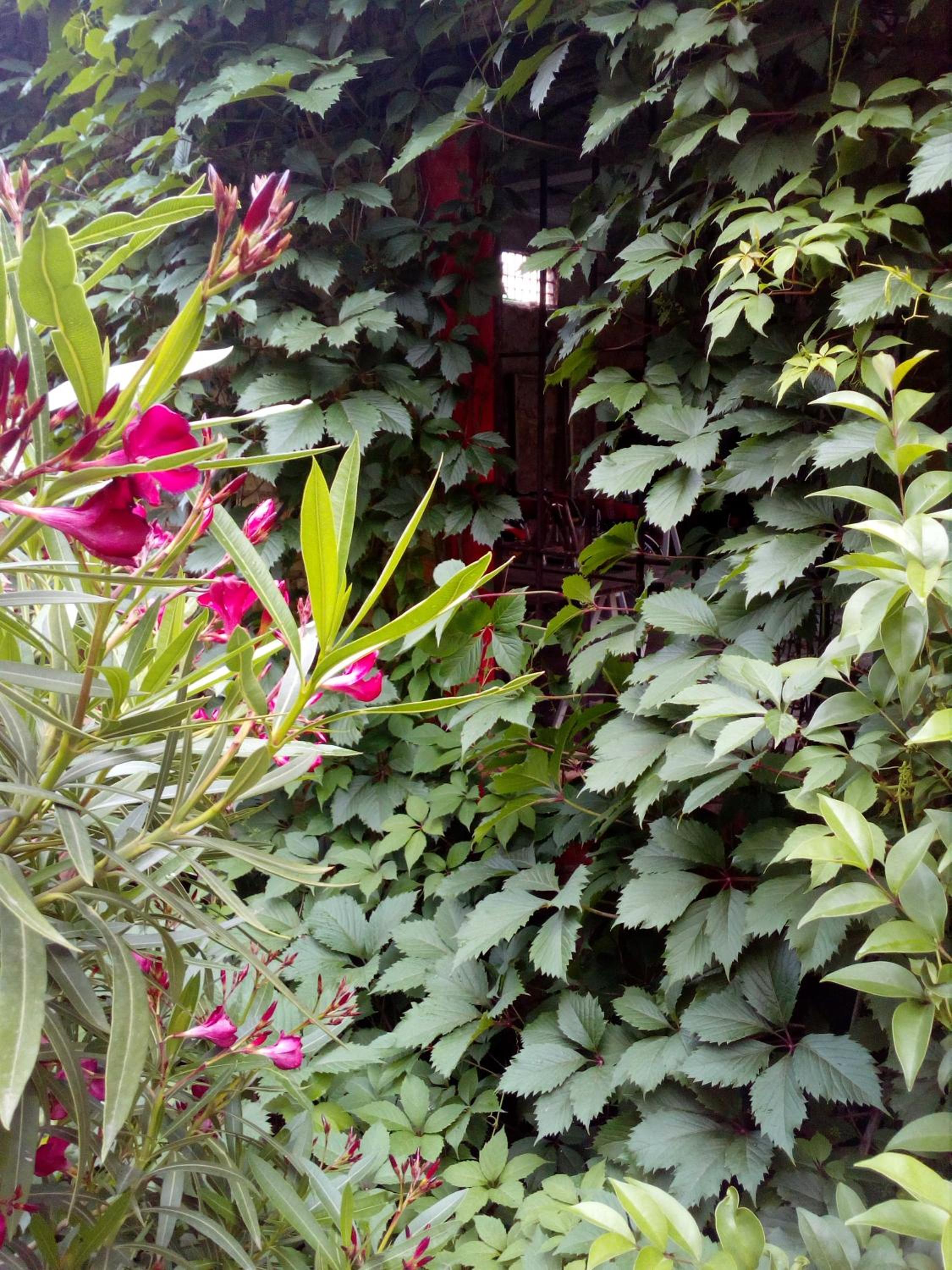Photo 40