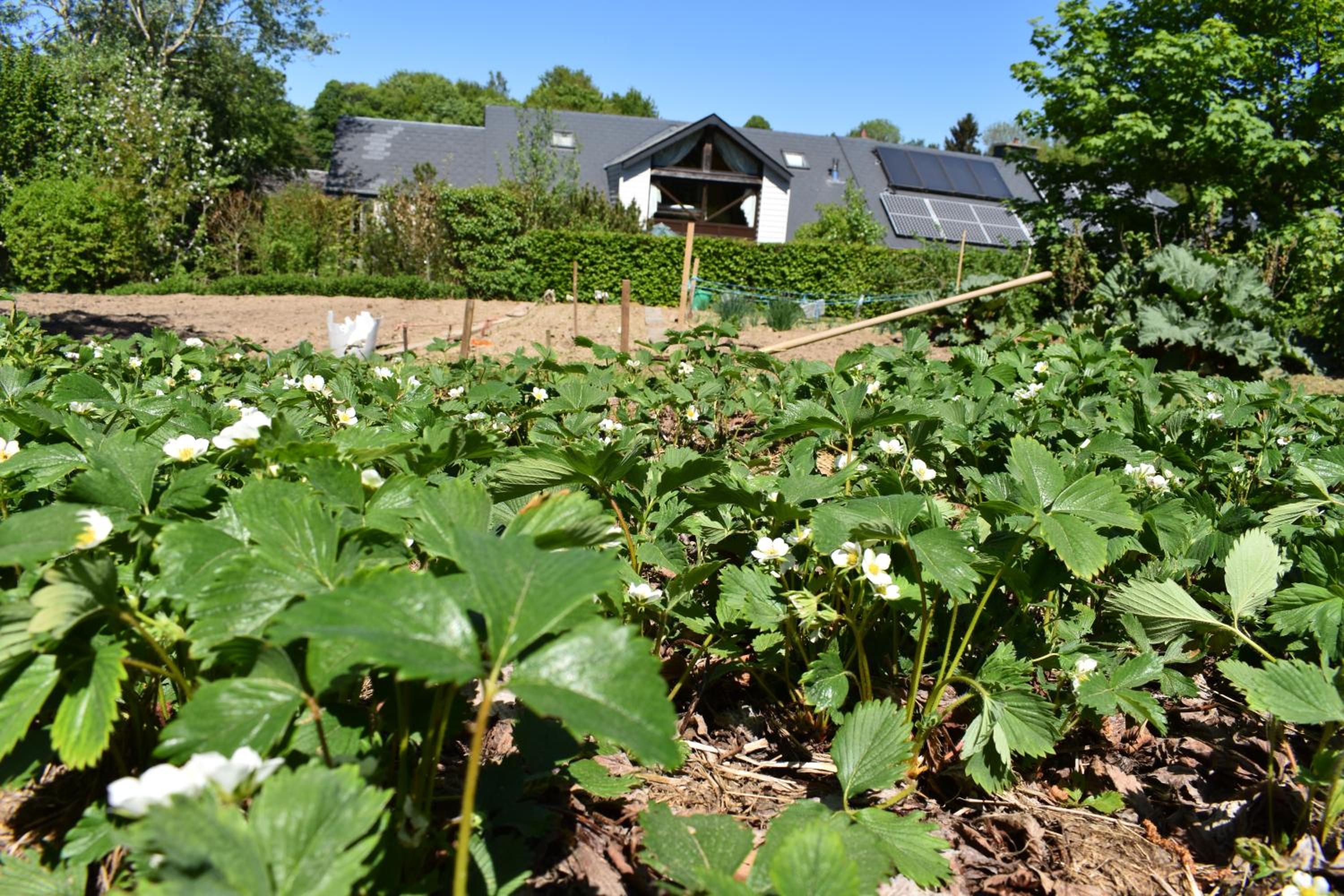 Gites-Clairiere-Ardenne