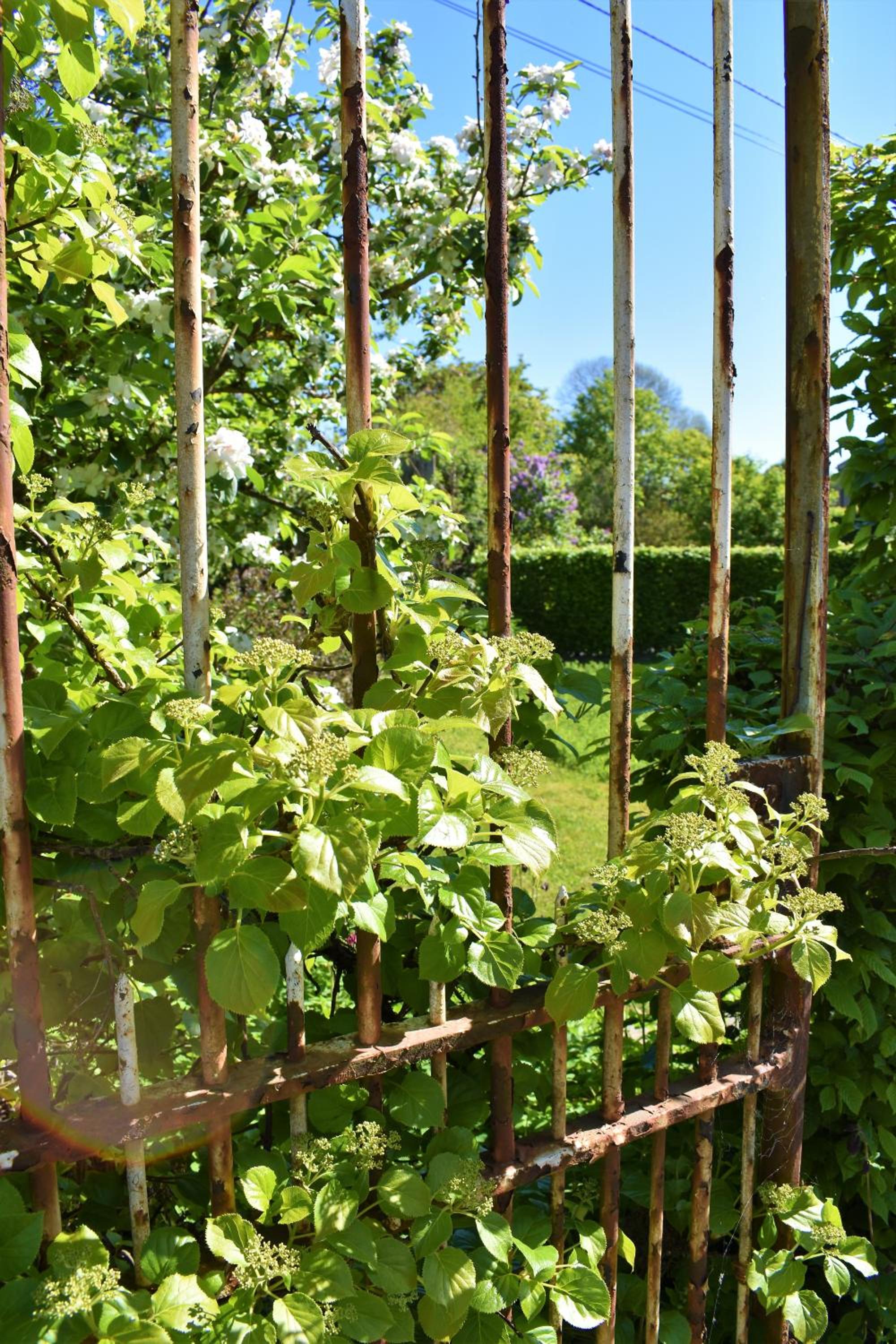 Gites-Clairiere-Ardenne