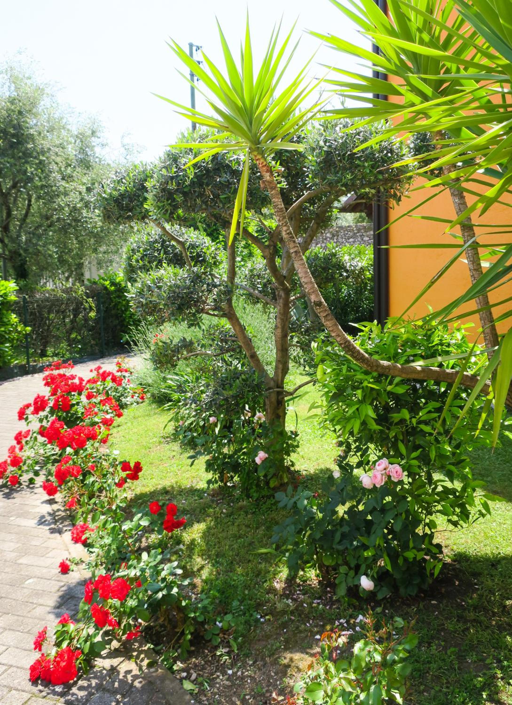 Appartamento A due passi dal lago view 4