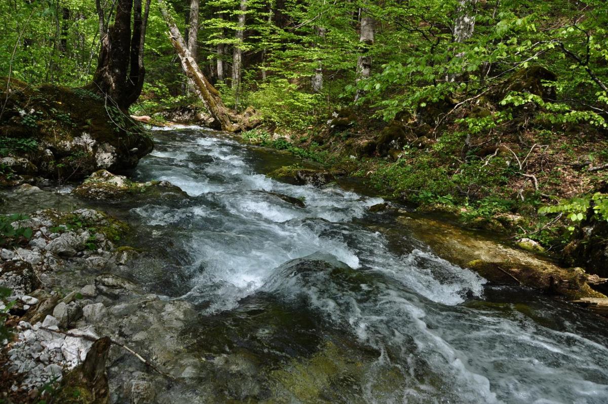 Photo 26