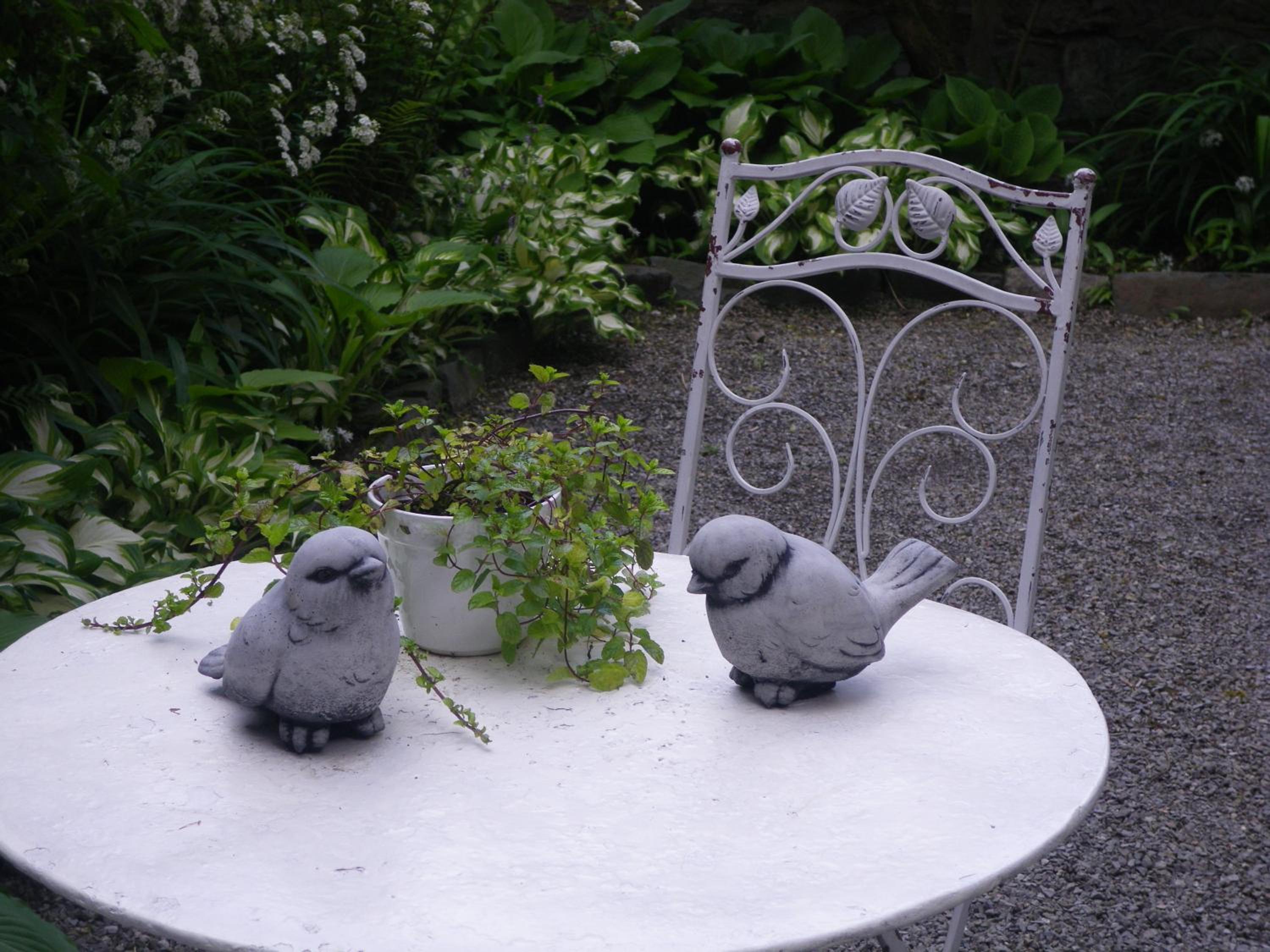 Photo 43