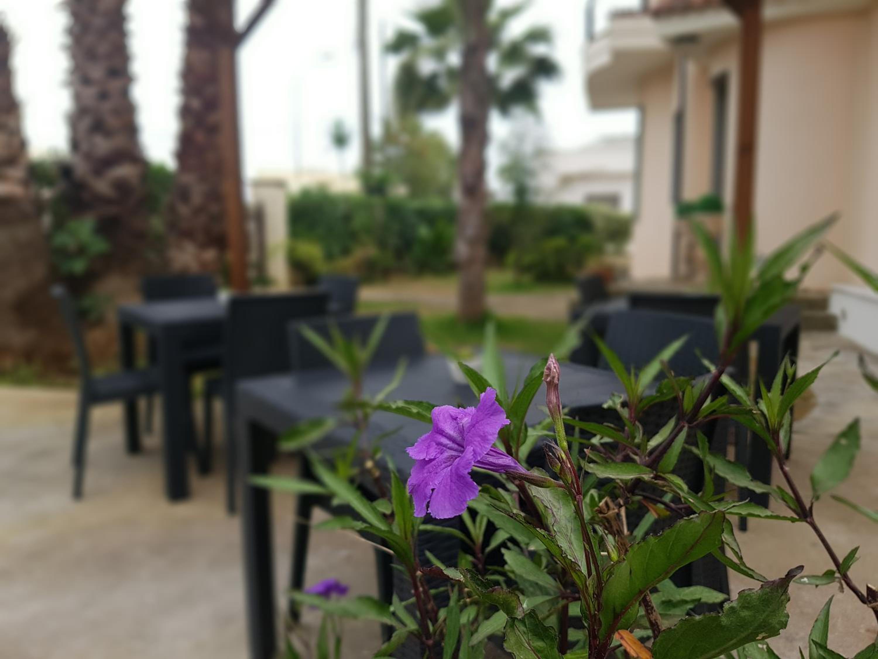 Dimora Sole del Sud