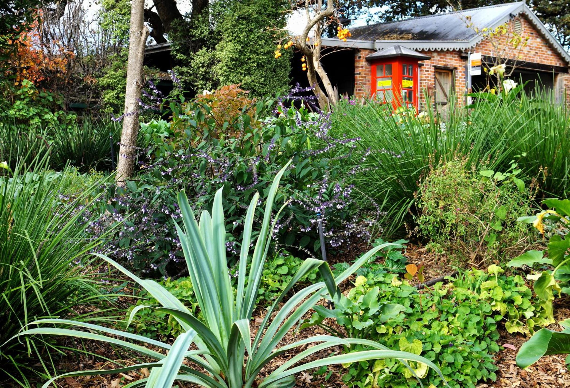 The Oaks Lilydale Accommodation