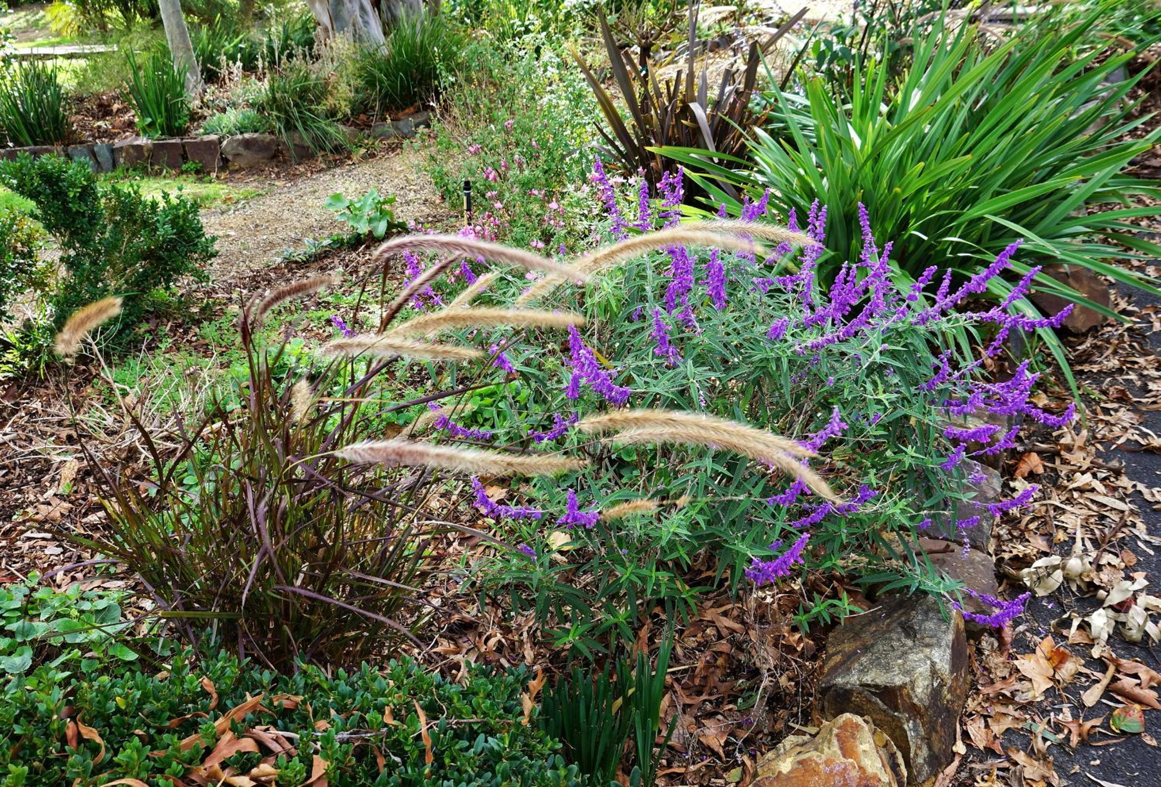 The Oaks Lilydale Accommodation