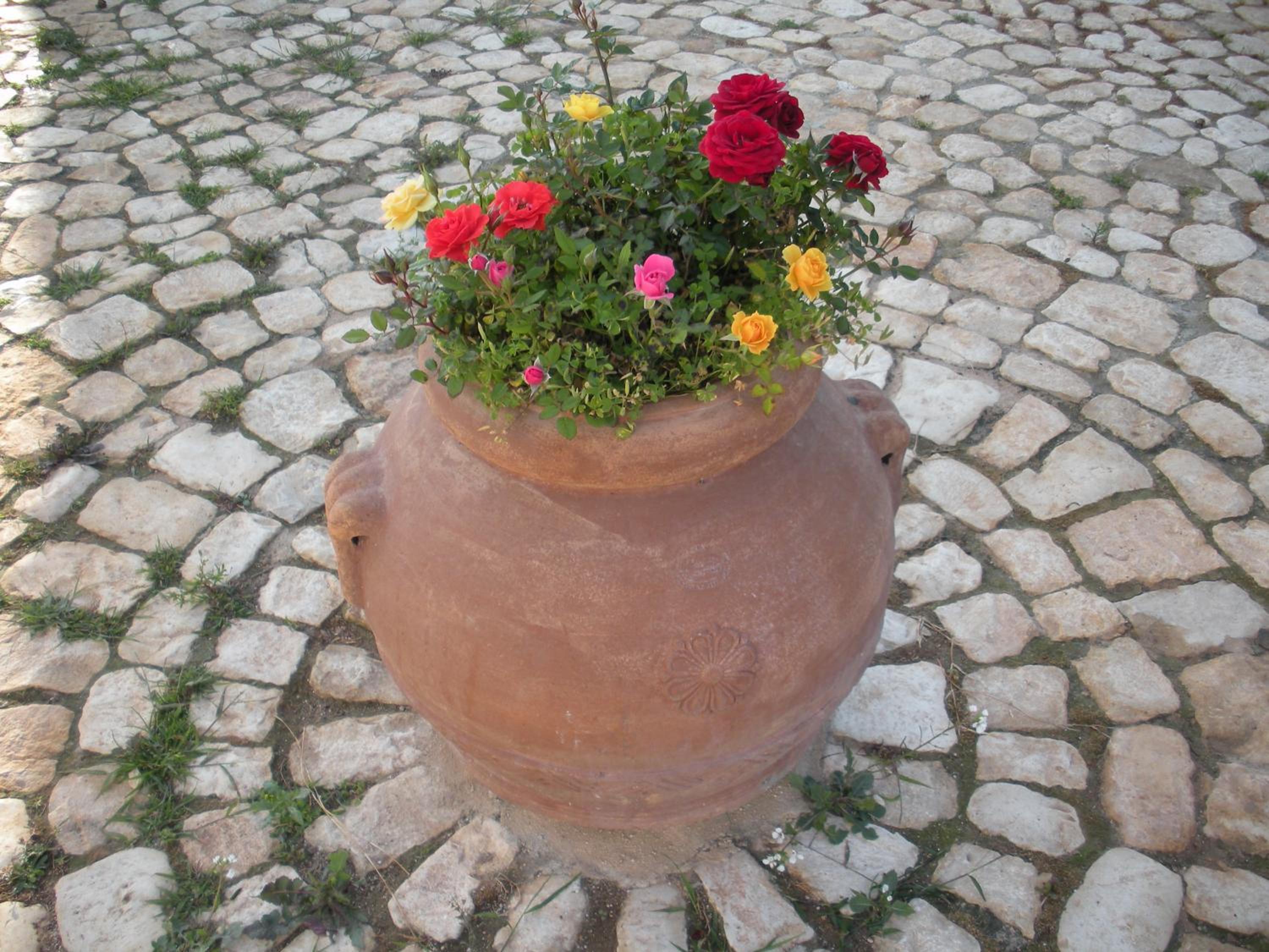 Photo 46
