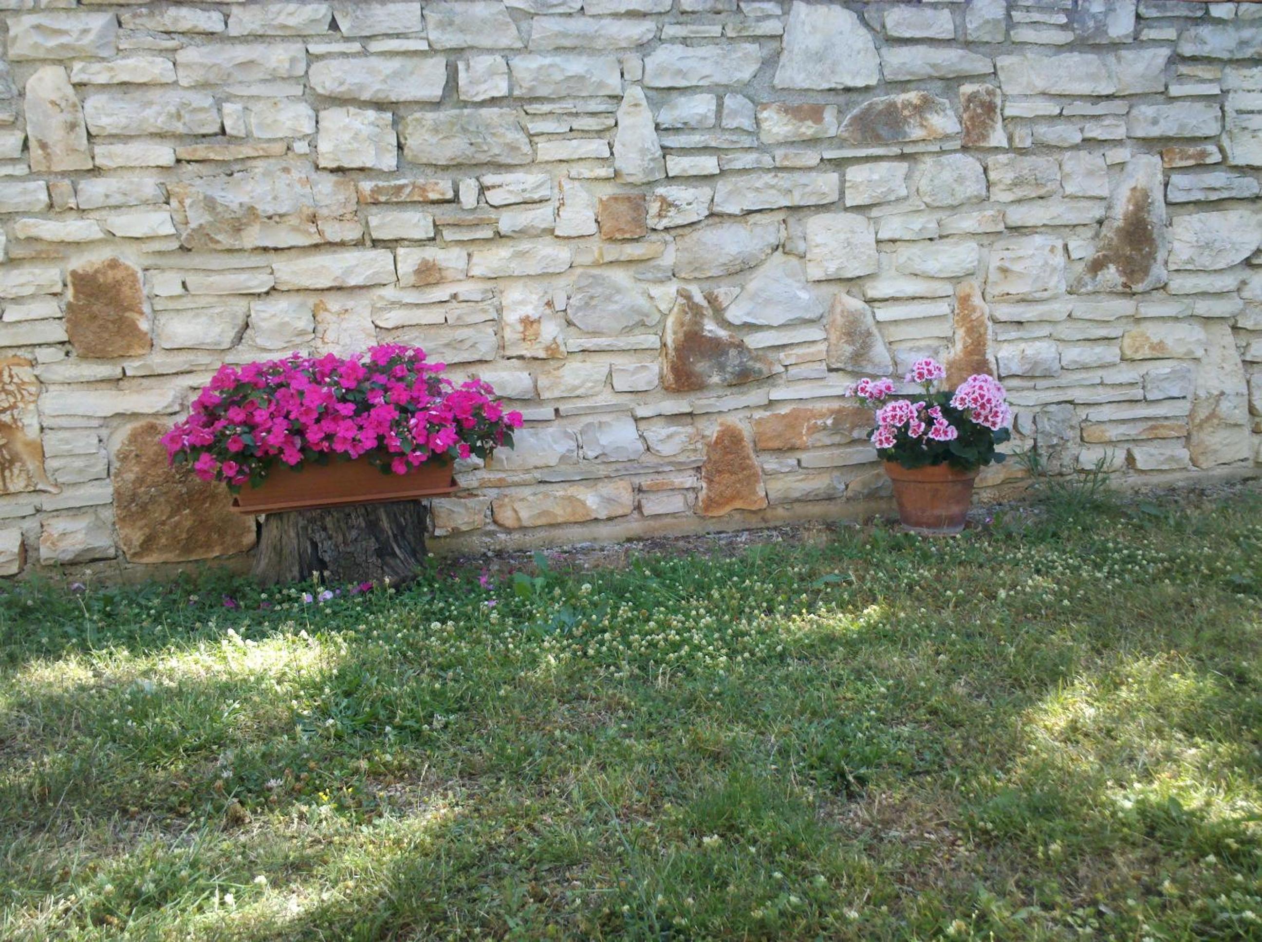 Photo 62