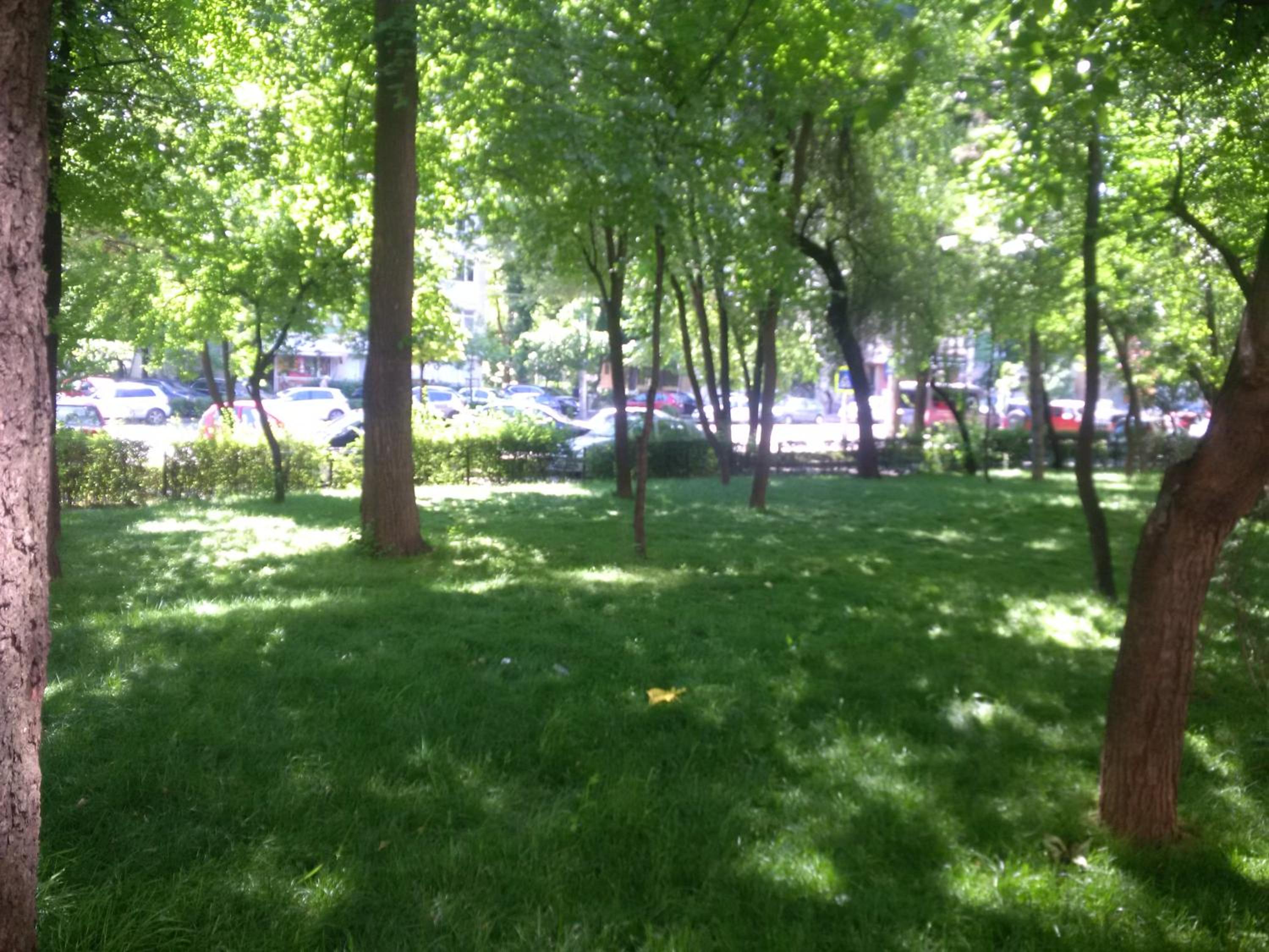 Photo 18