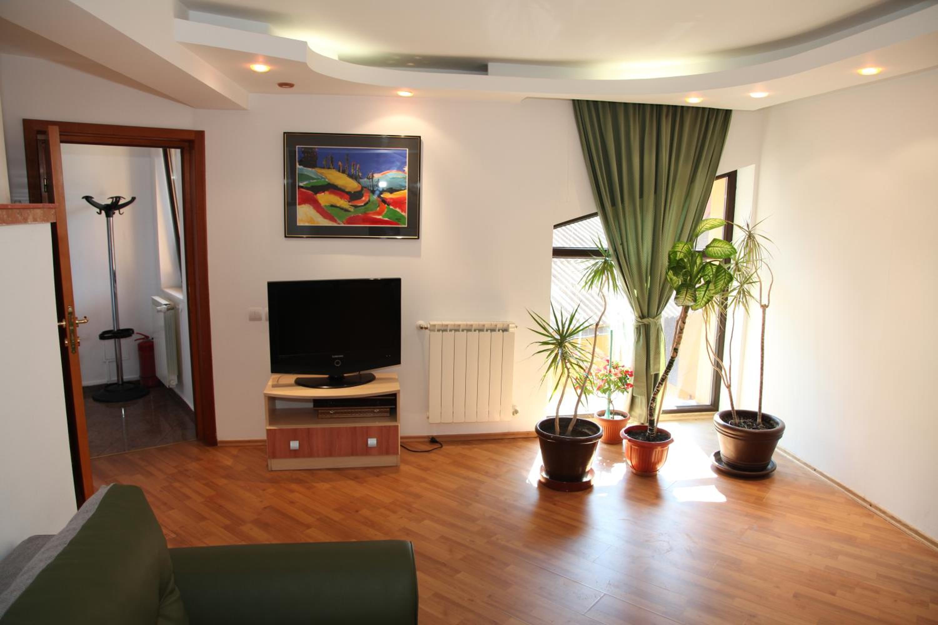 Pensiunea Mihaela view 2
