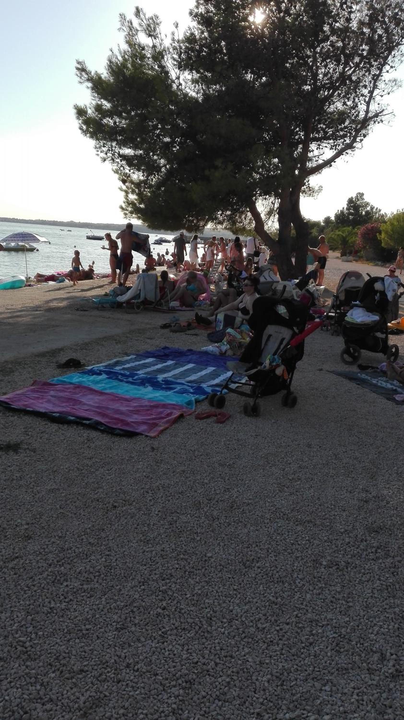 Apartmani Luka