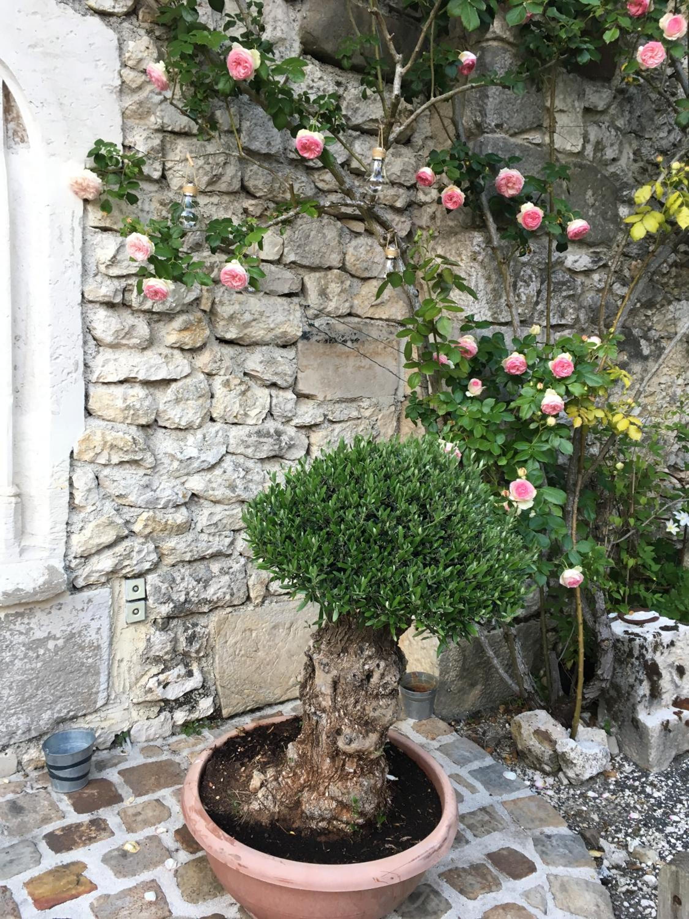 Photo 17