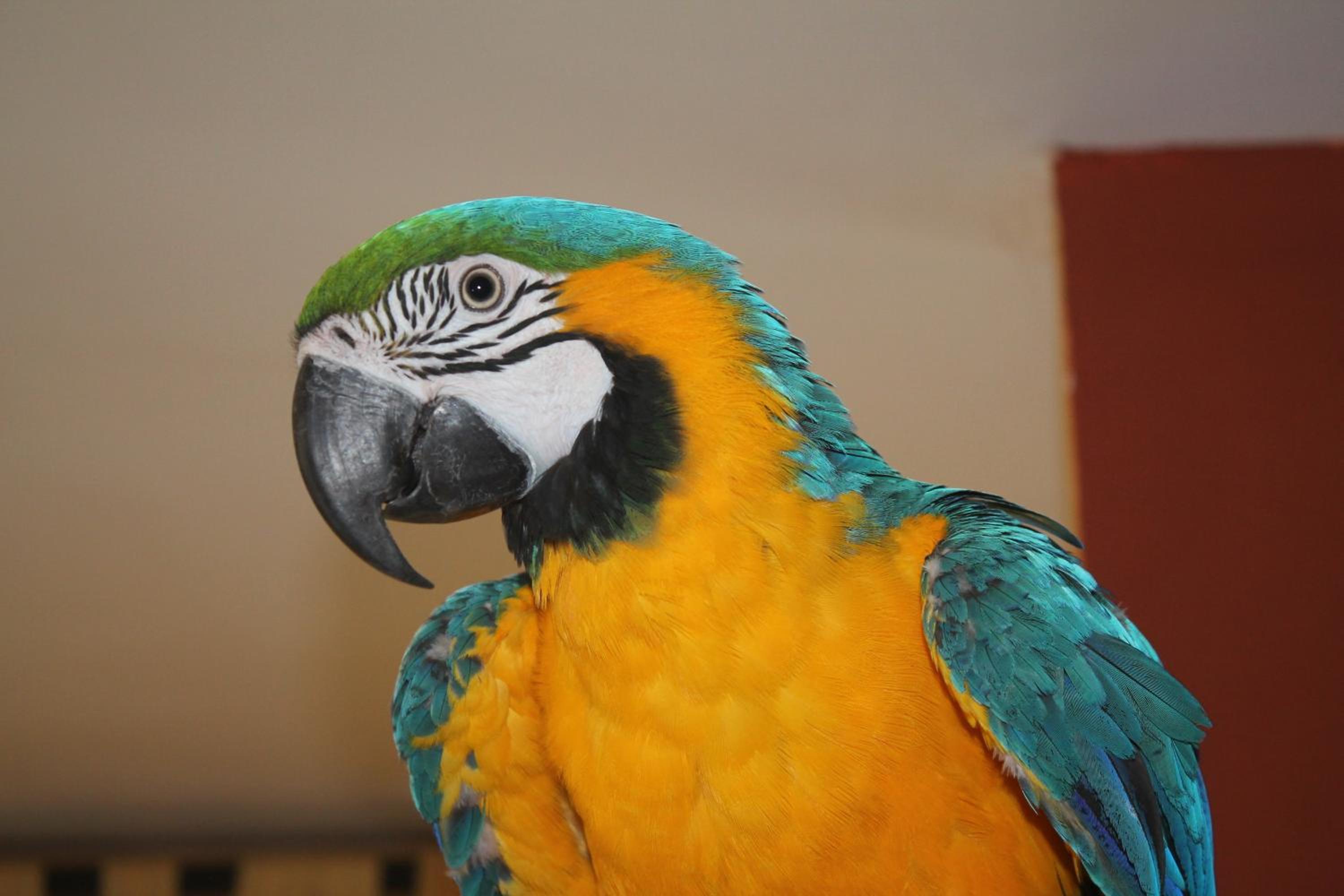 Photo 35