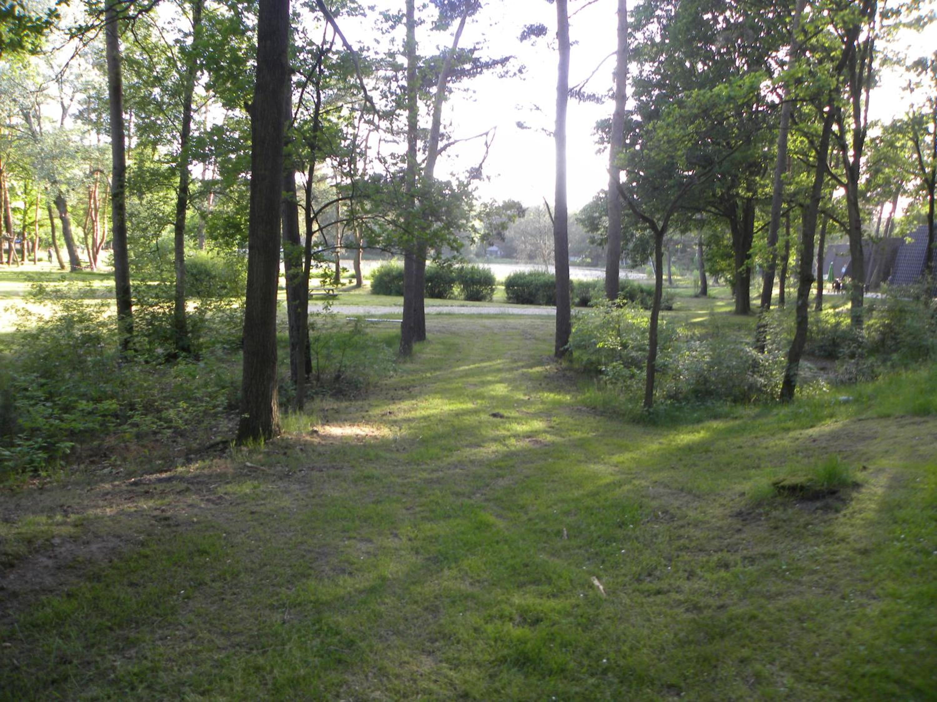Bungalows Bospark te Stramproy