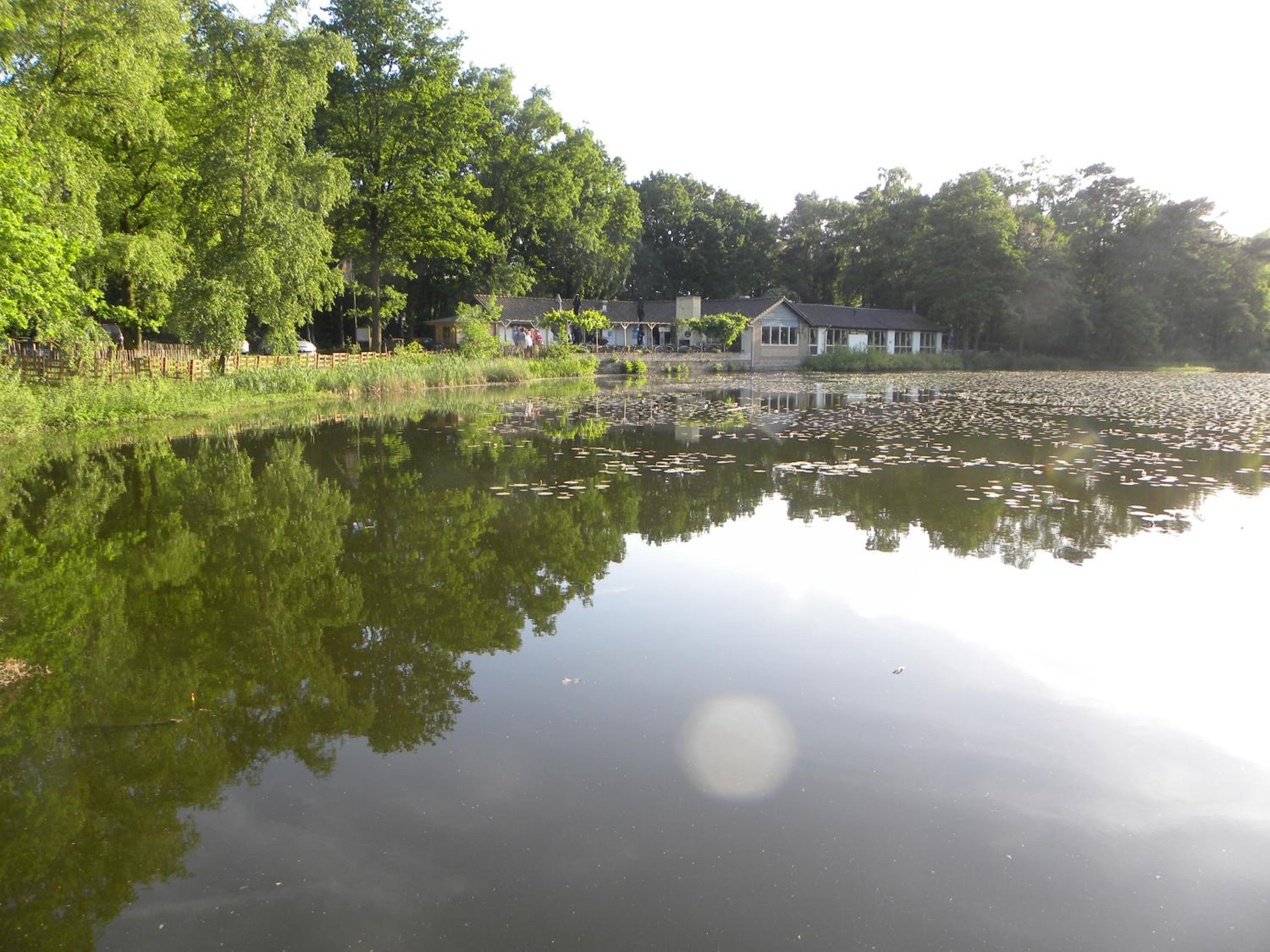 Bungalows Bospark te Stramproy