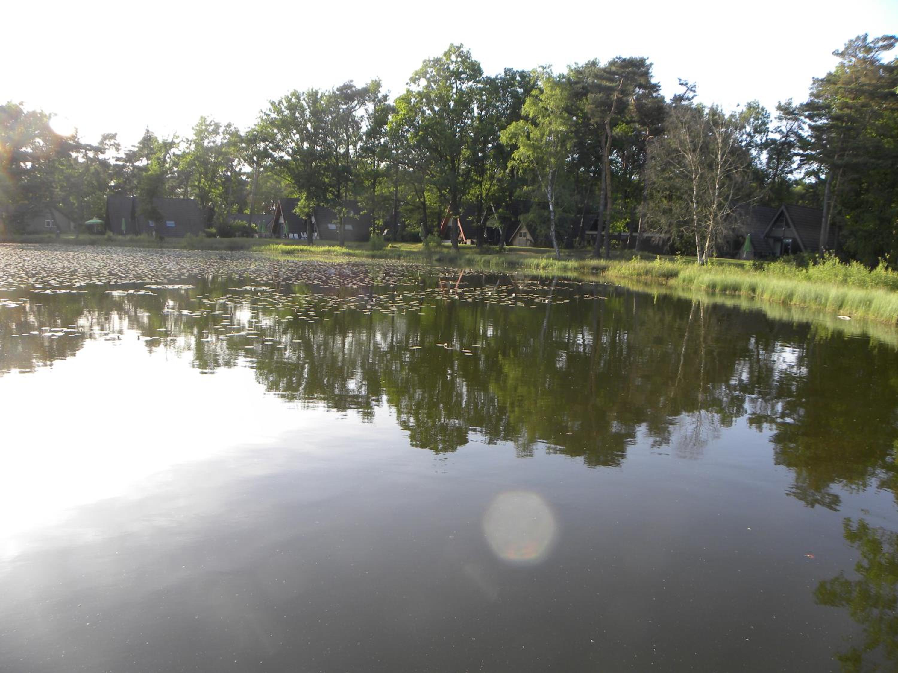 Bungalows Bospark te Stramproy