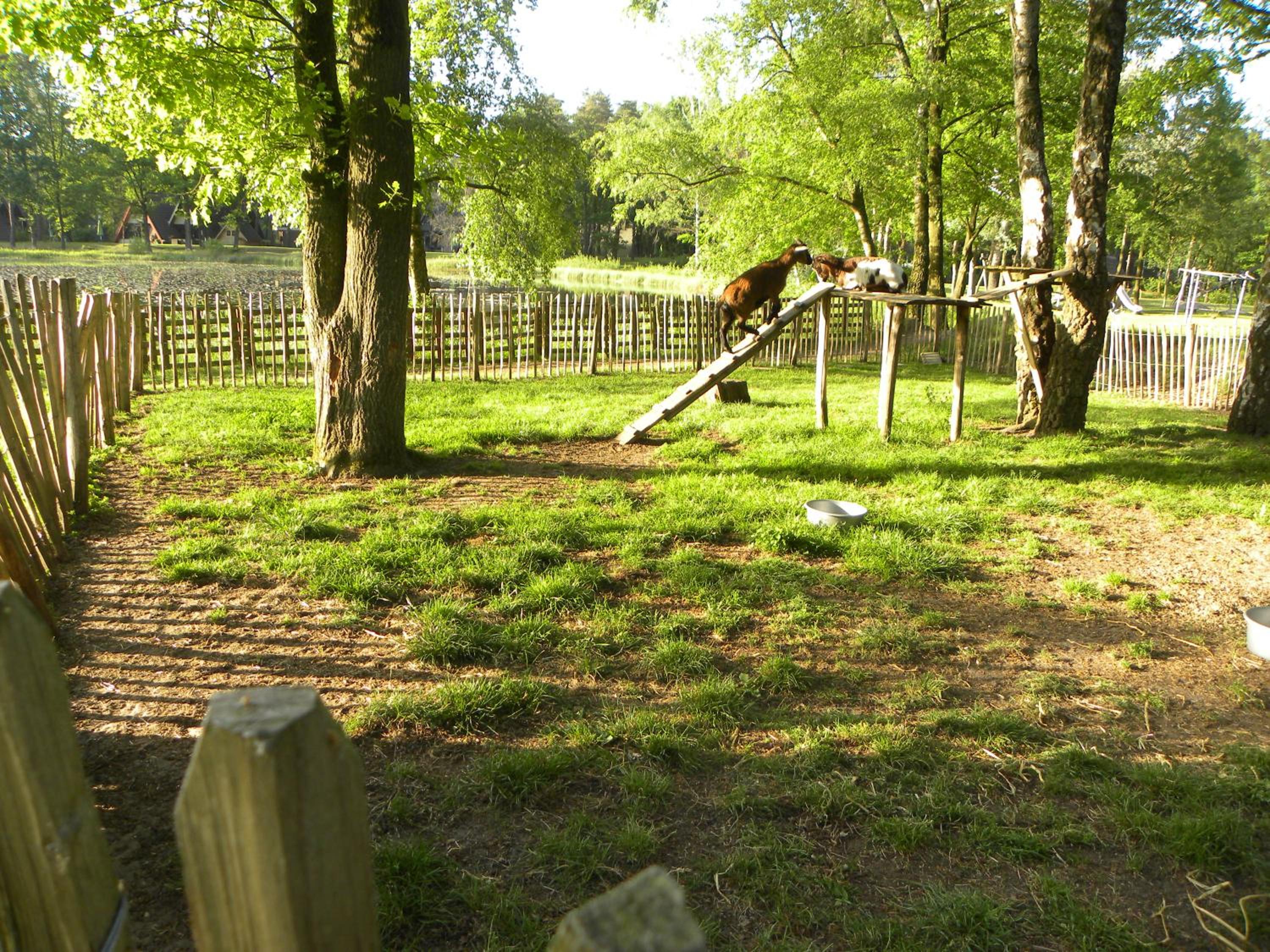 Bungalows Bospark te Stramproy