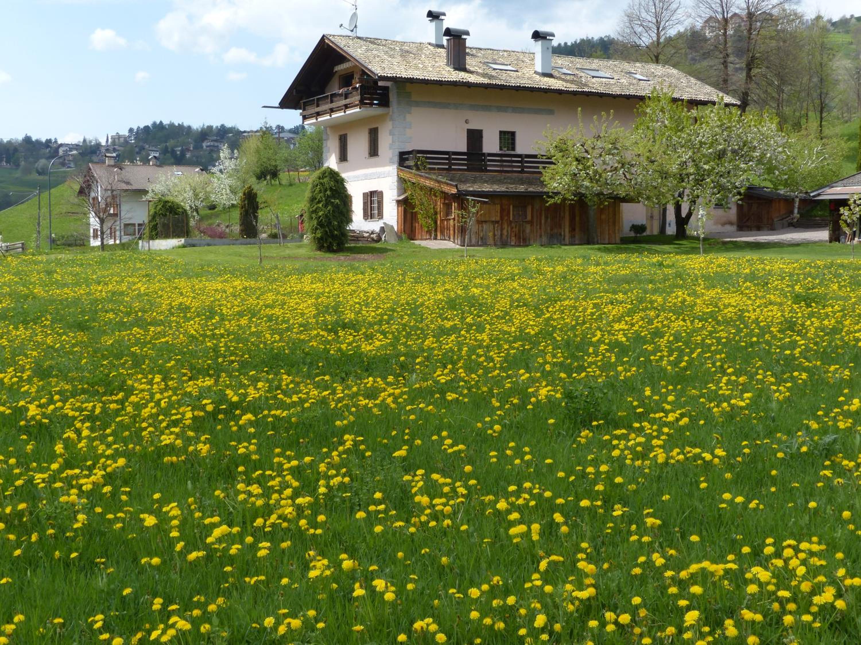 Maso Pinterato view 2