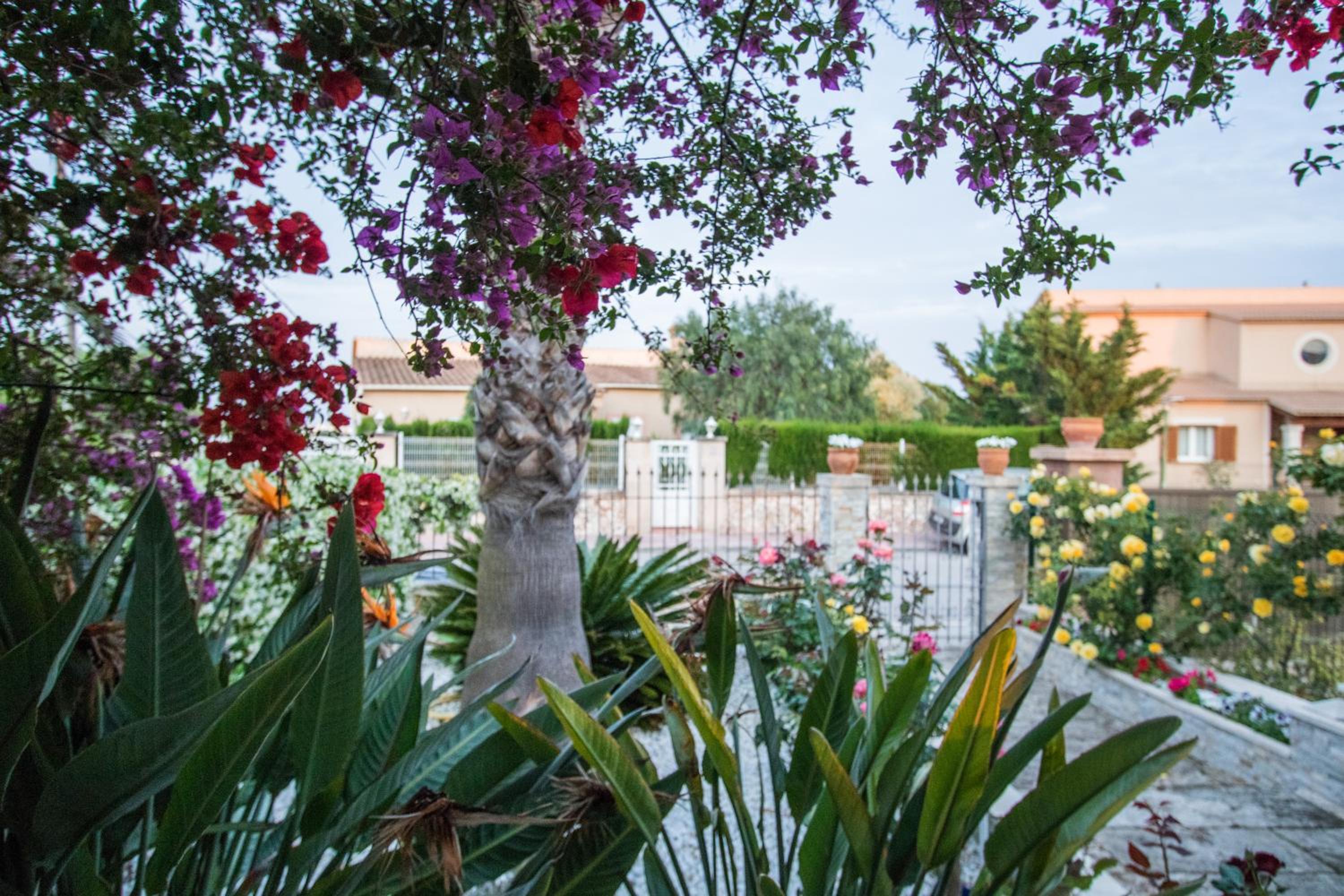 Casa Suit en Porto Colom, Mallorca view 3