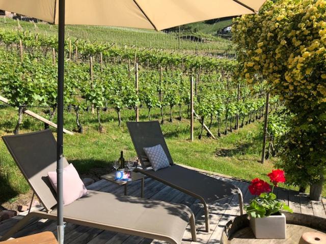 Tollhof view 4