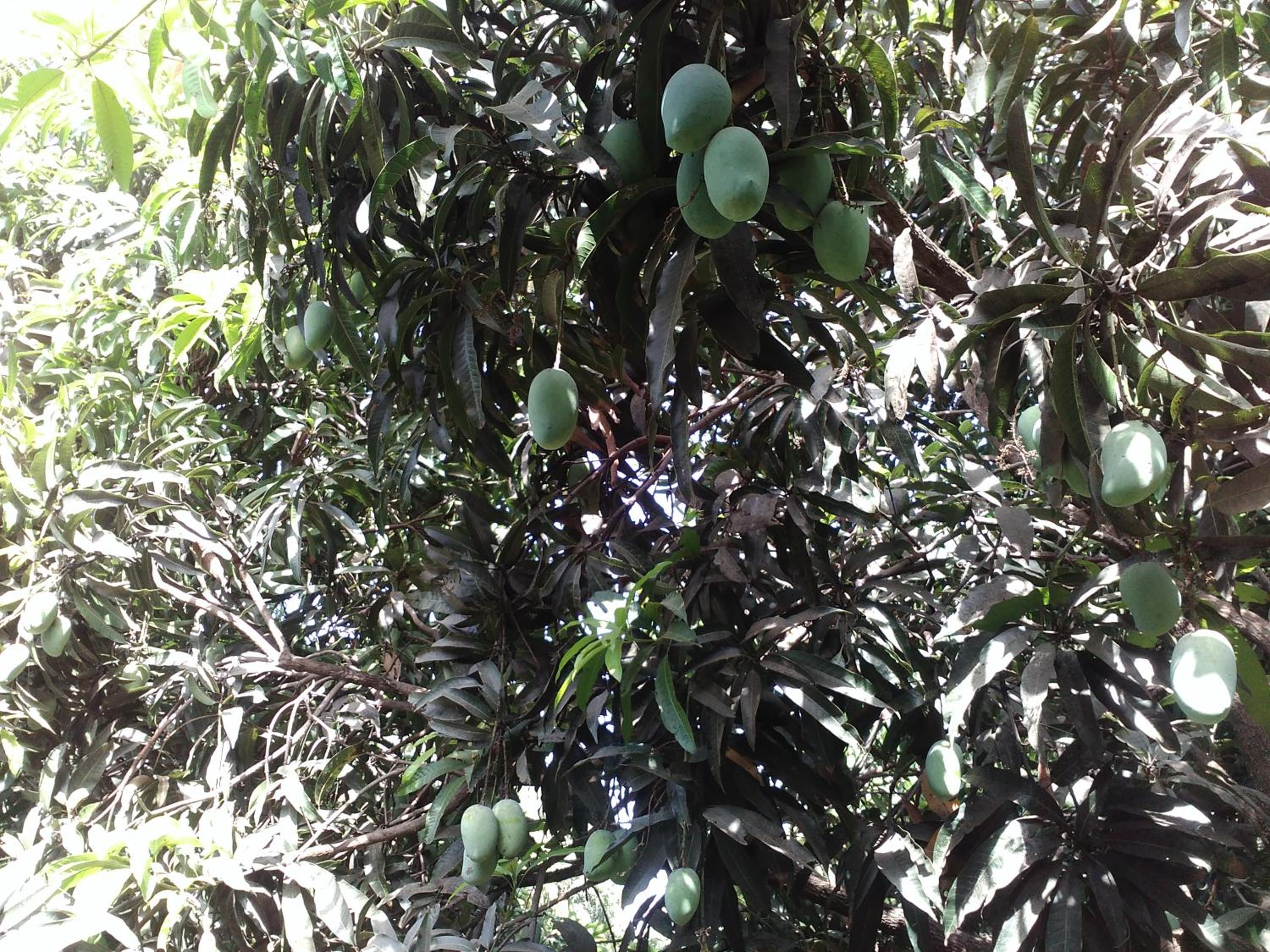 Photo 16