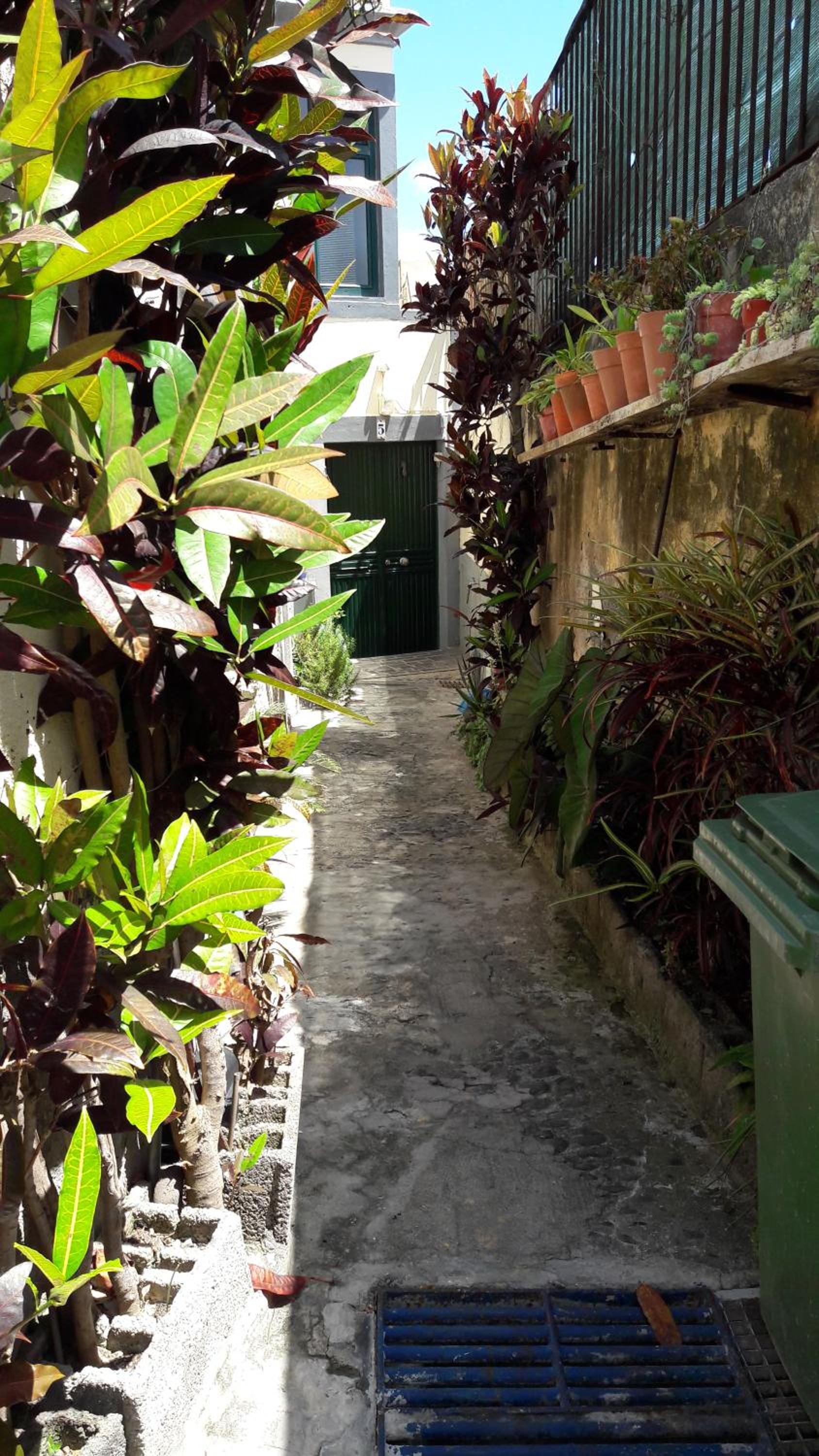 Casa Zona Velha - Caetano