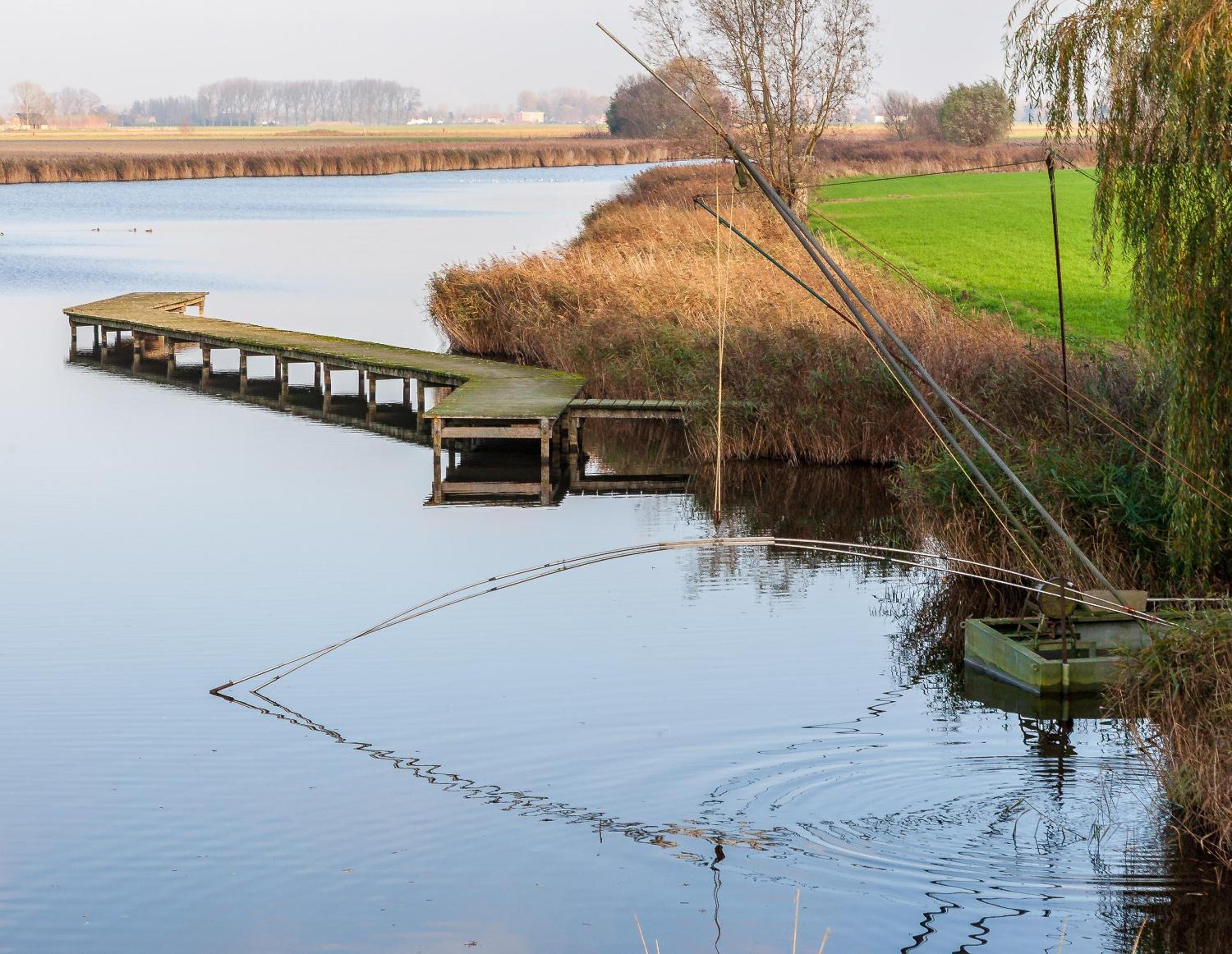 ZENte Wellness beleving