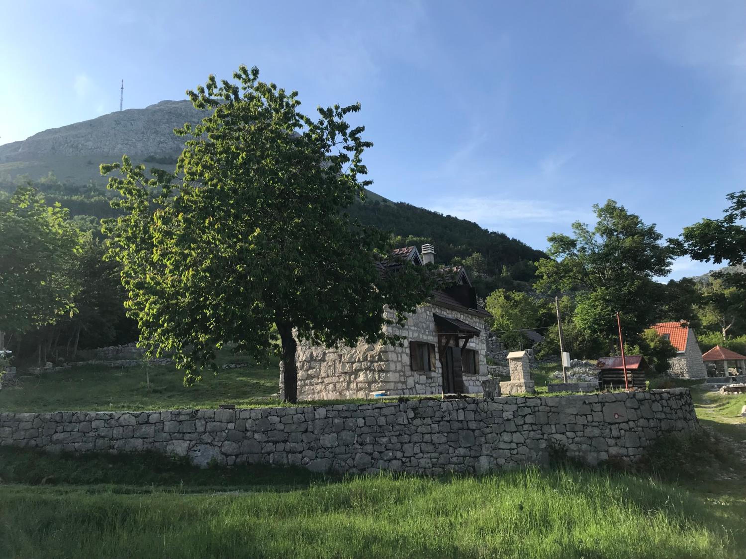 Photo 25