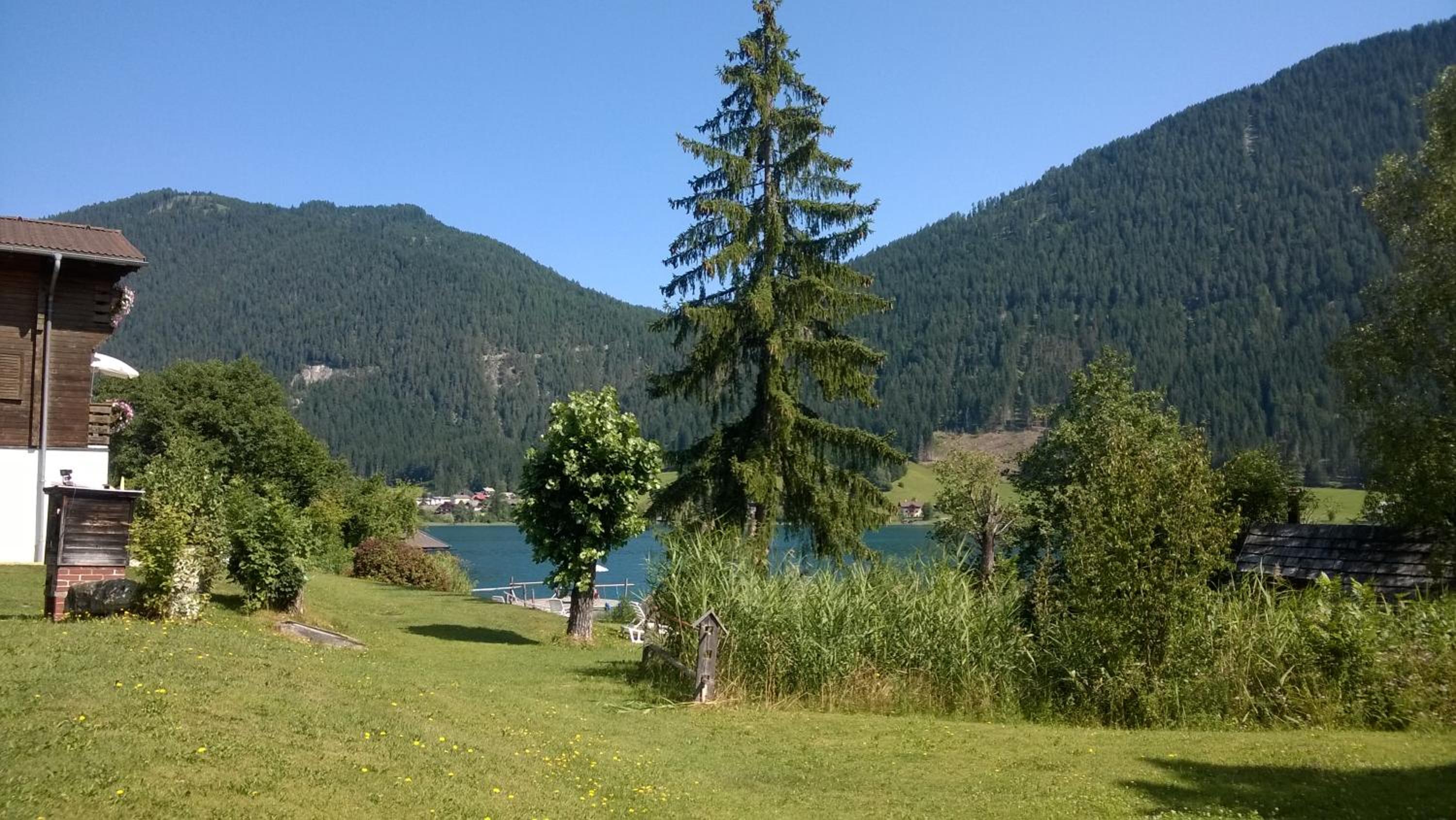 Photo 41