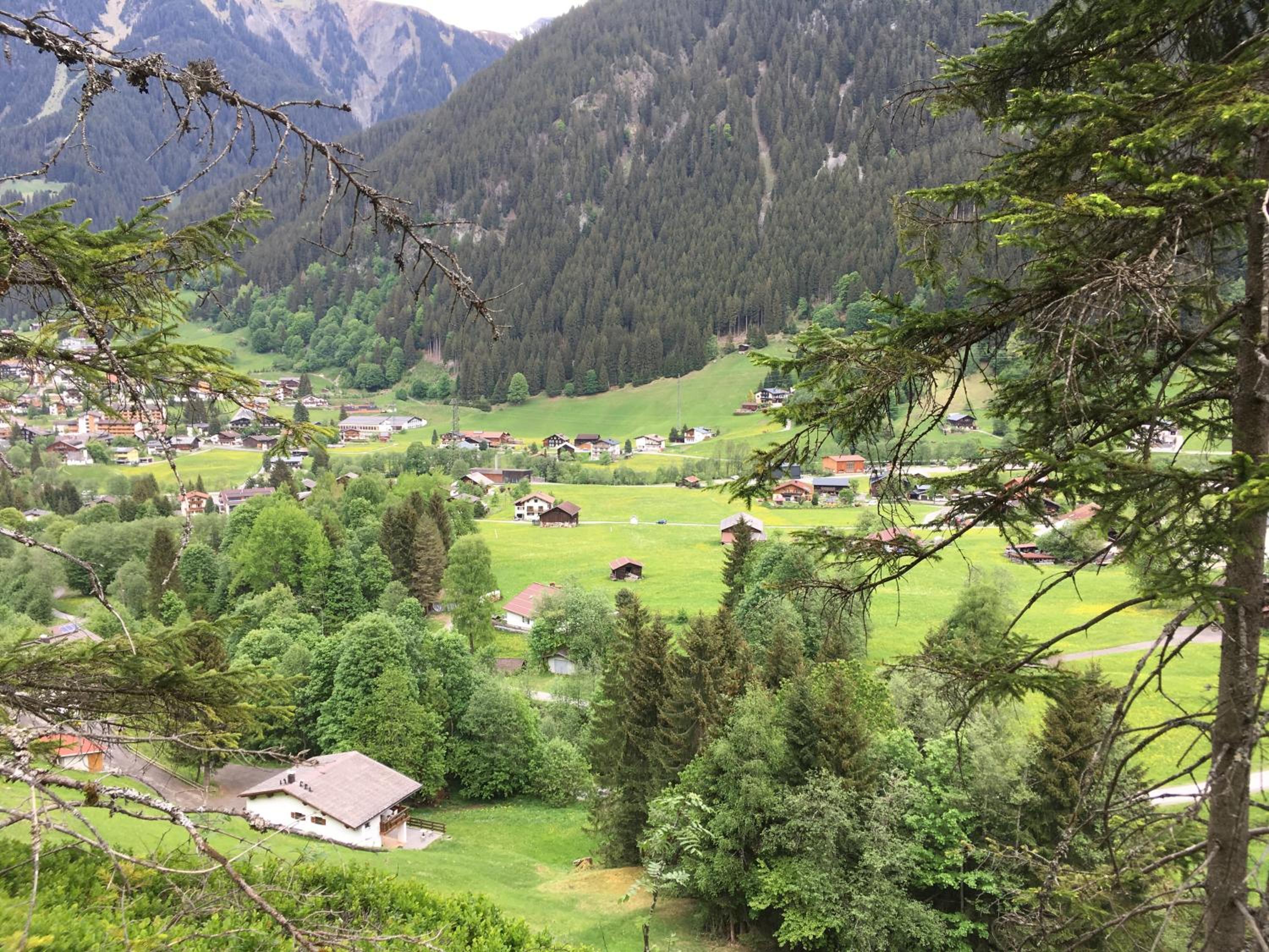 Alpenstern