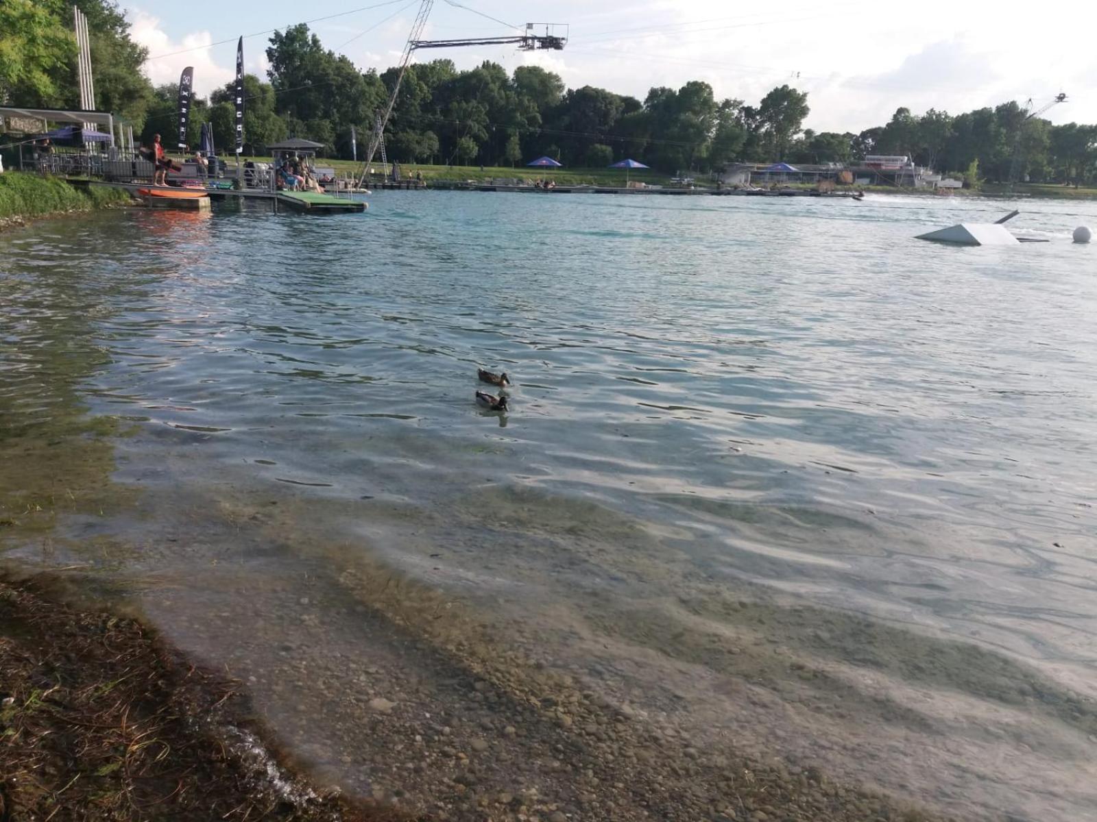 Photo 22