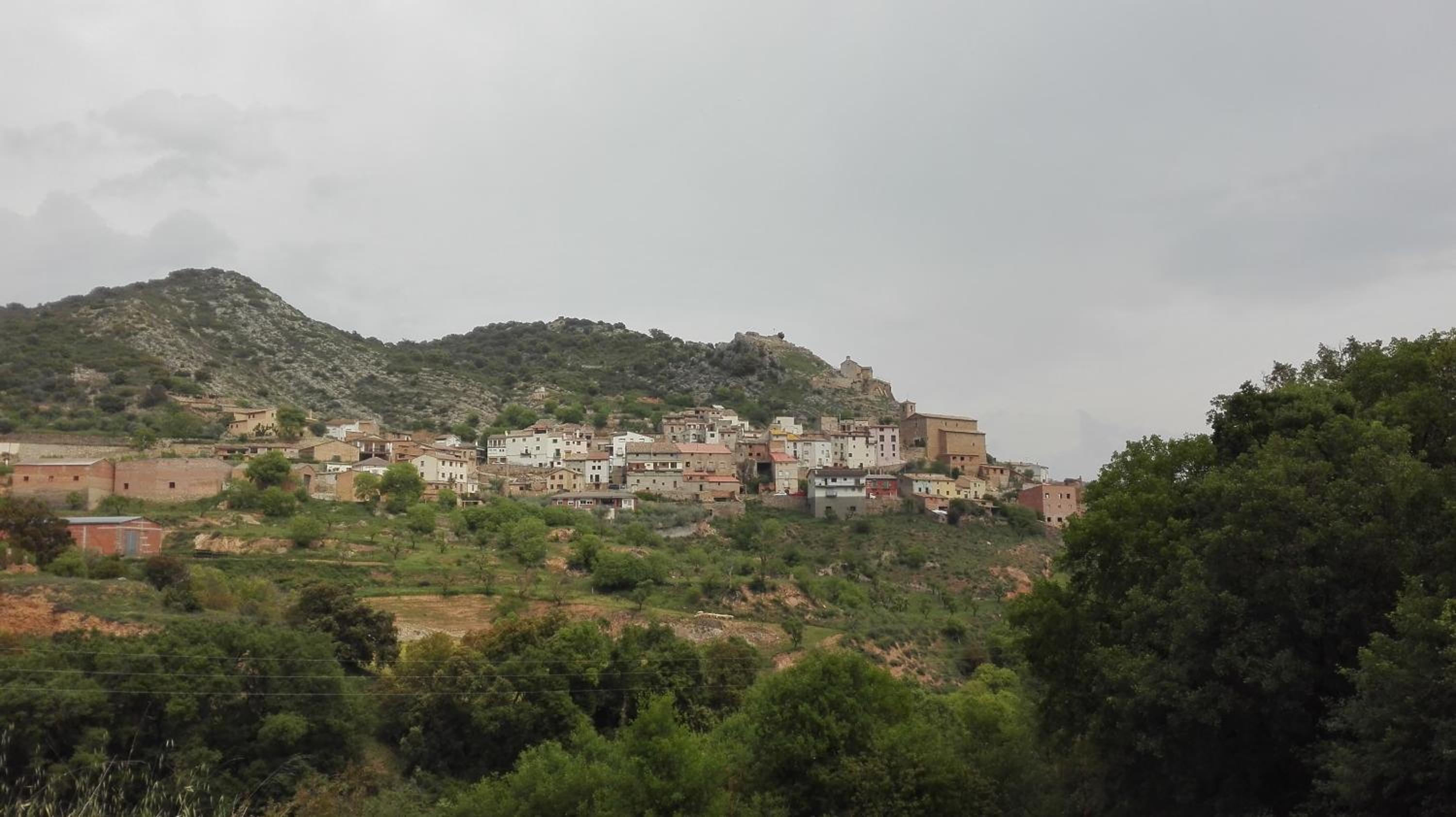 Photo 25